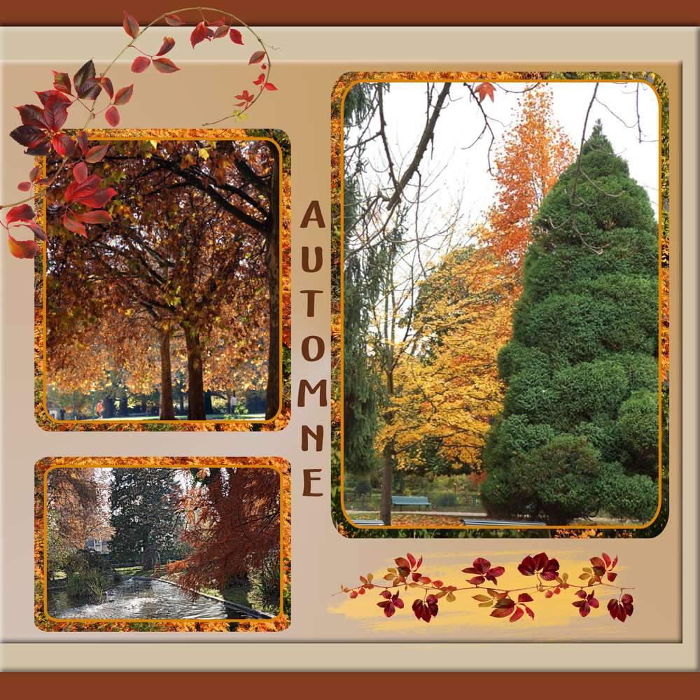 Images d'automne
