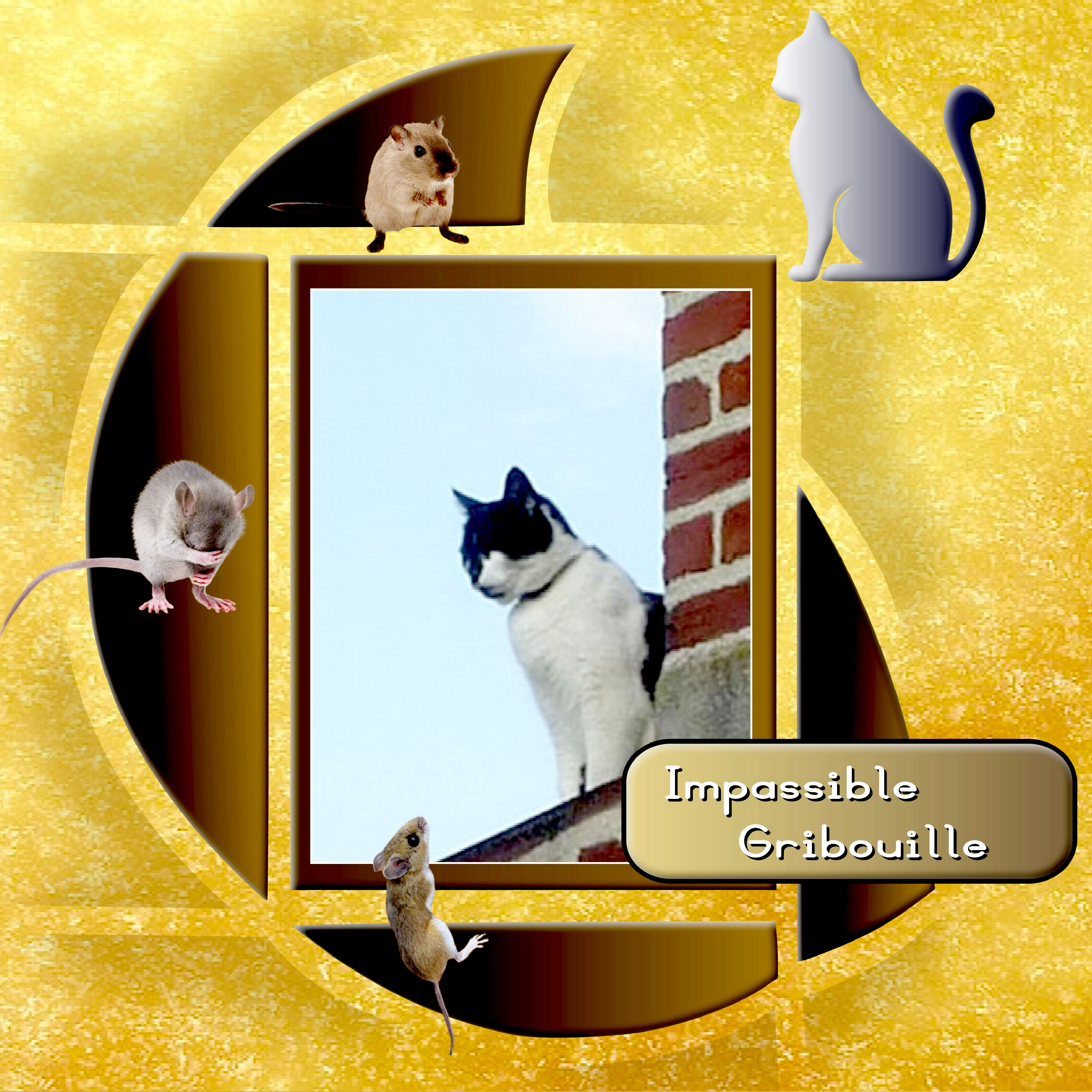 Impassible Gribouille