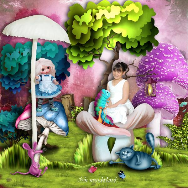 IN WONDERLAND