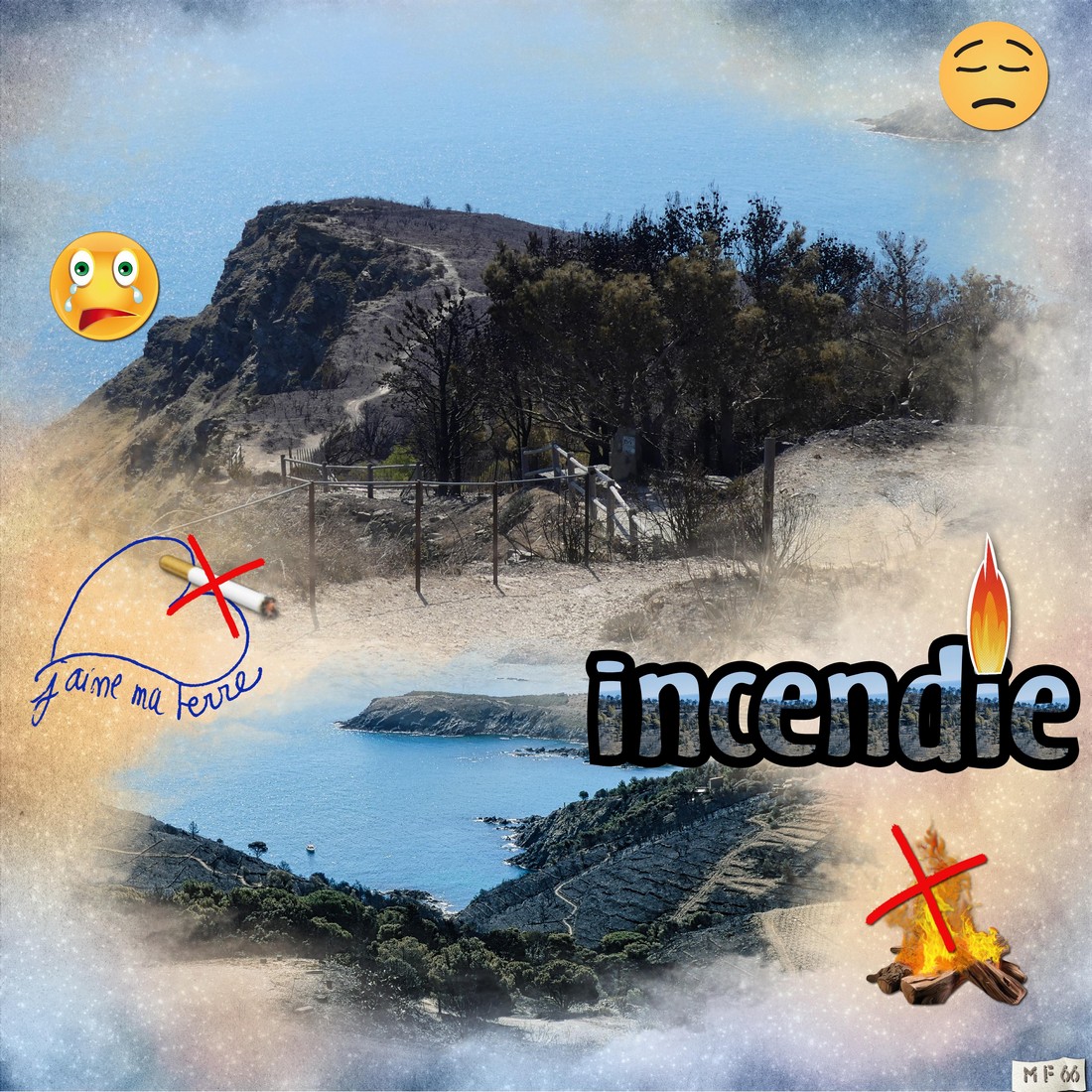 incendie banyuls désolation 16.04.23.jpg