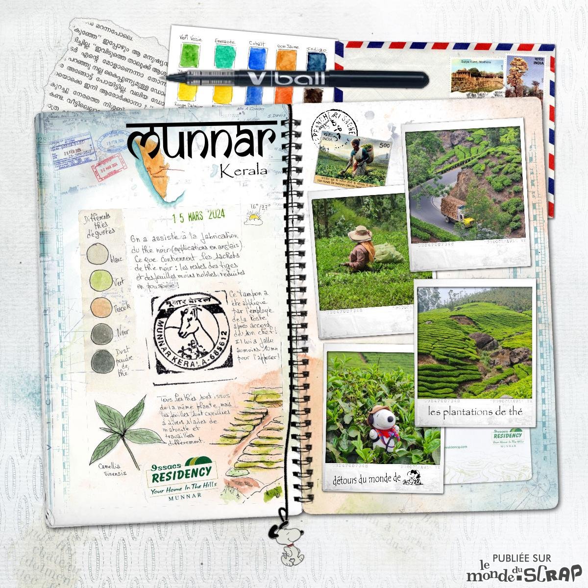 Inde - Kerala - Munnar