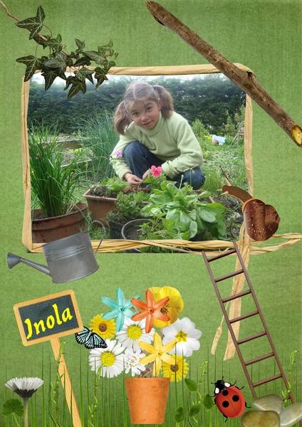 INOLA