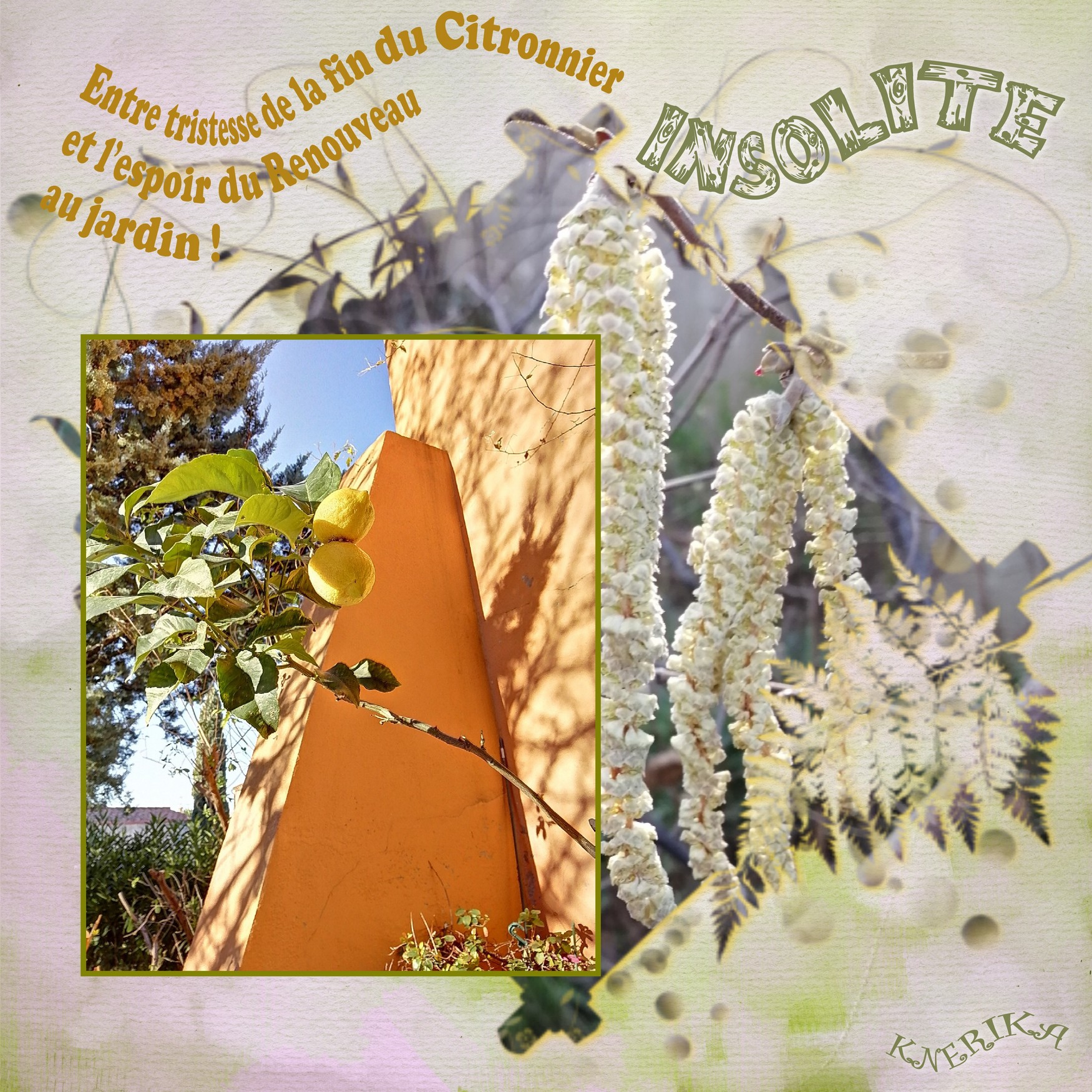 Insolite, entre tristesse et espoir Anne Marie