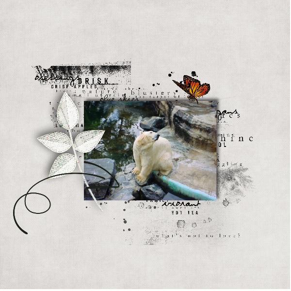 Inspiration scrap papier 05