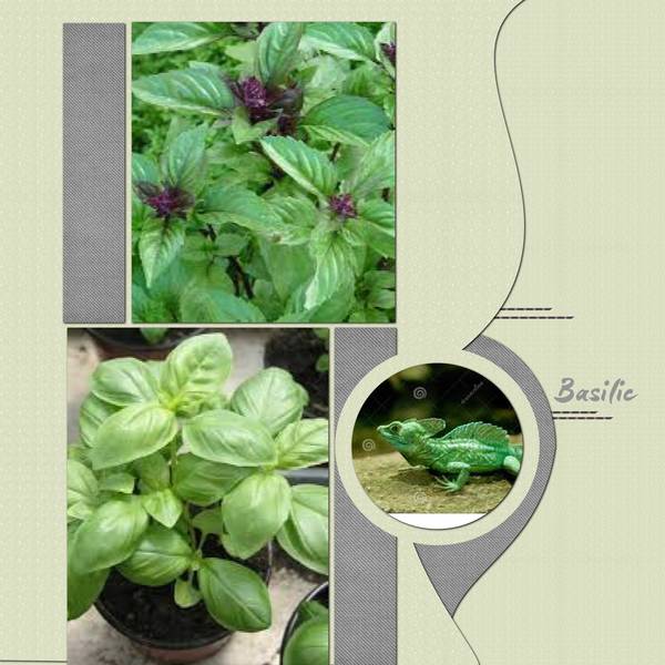 inspiration scraptapage