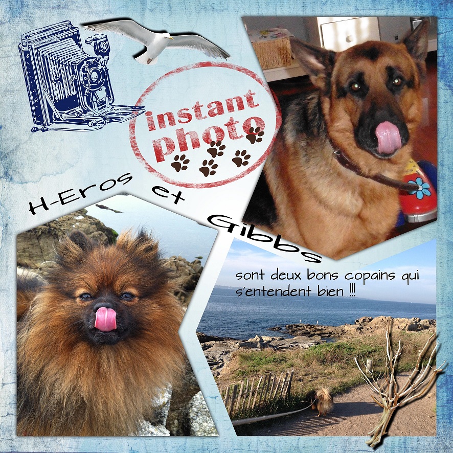 INSTANT PHOTO