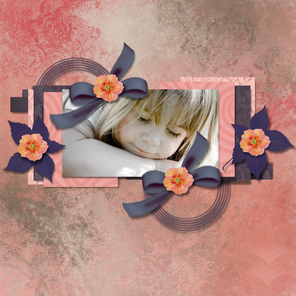 intant poudré de didine desing