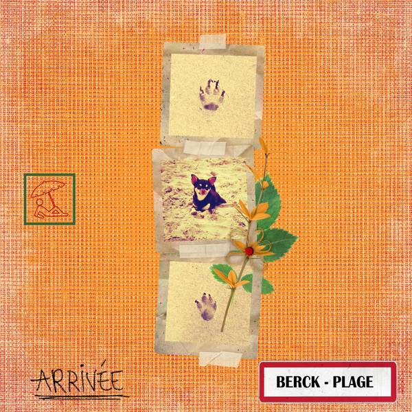 iola-papattes-a-lilo