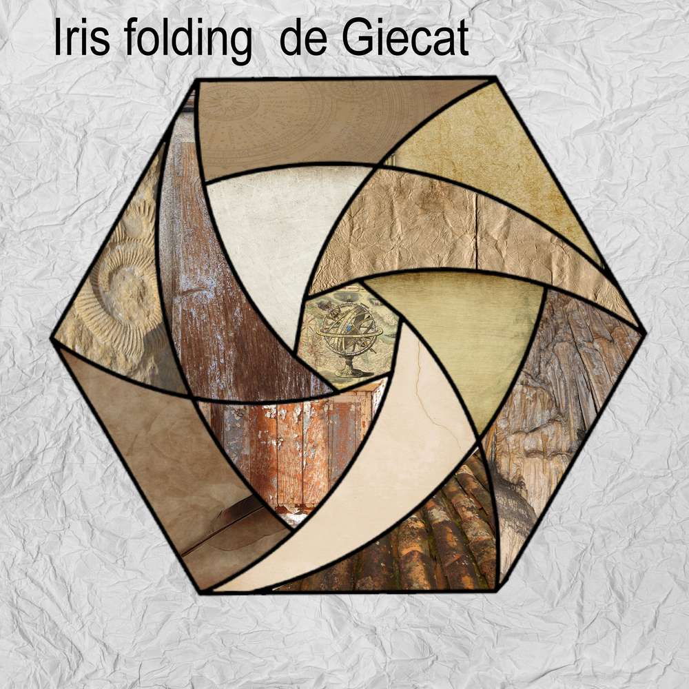 IRIS FOLDING DE GIECAT