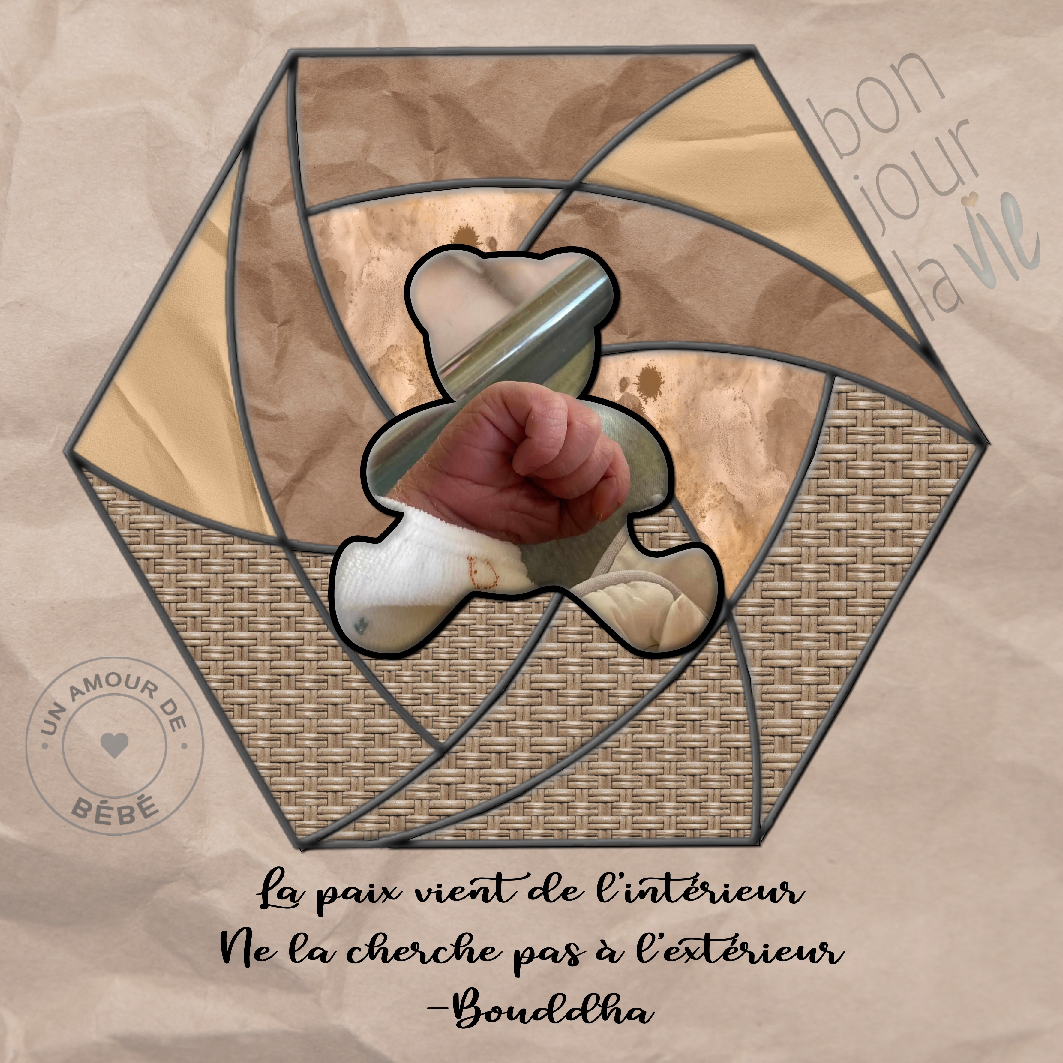 IRIS FOLDING GIECAT point levé'.jpg