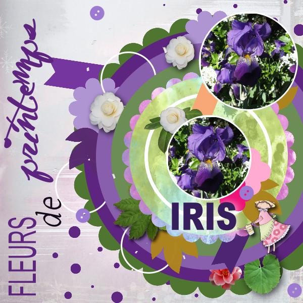 Iris