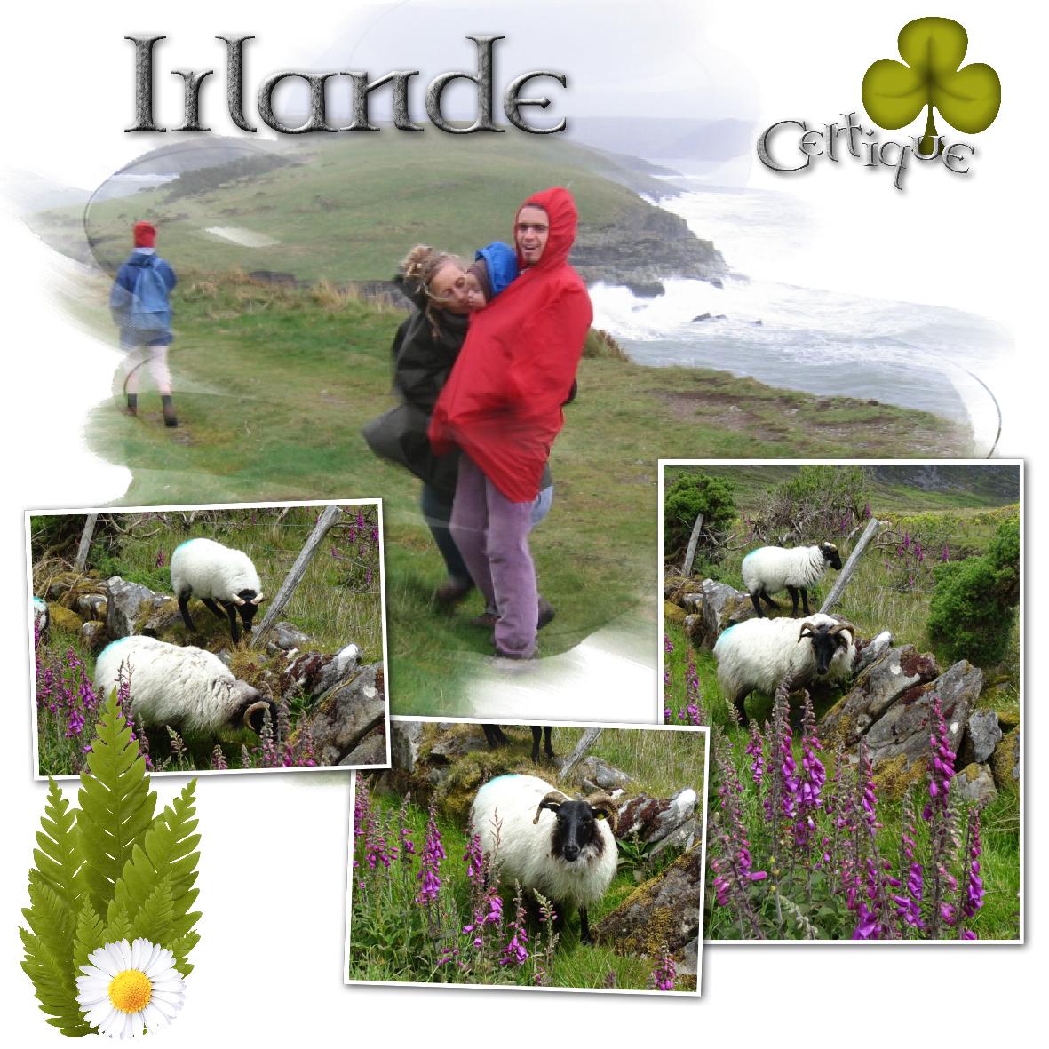 Irlande.jpg