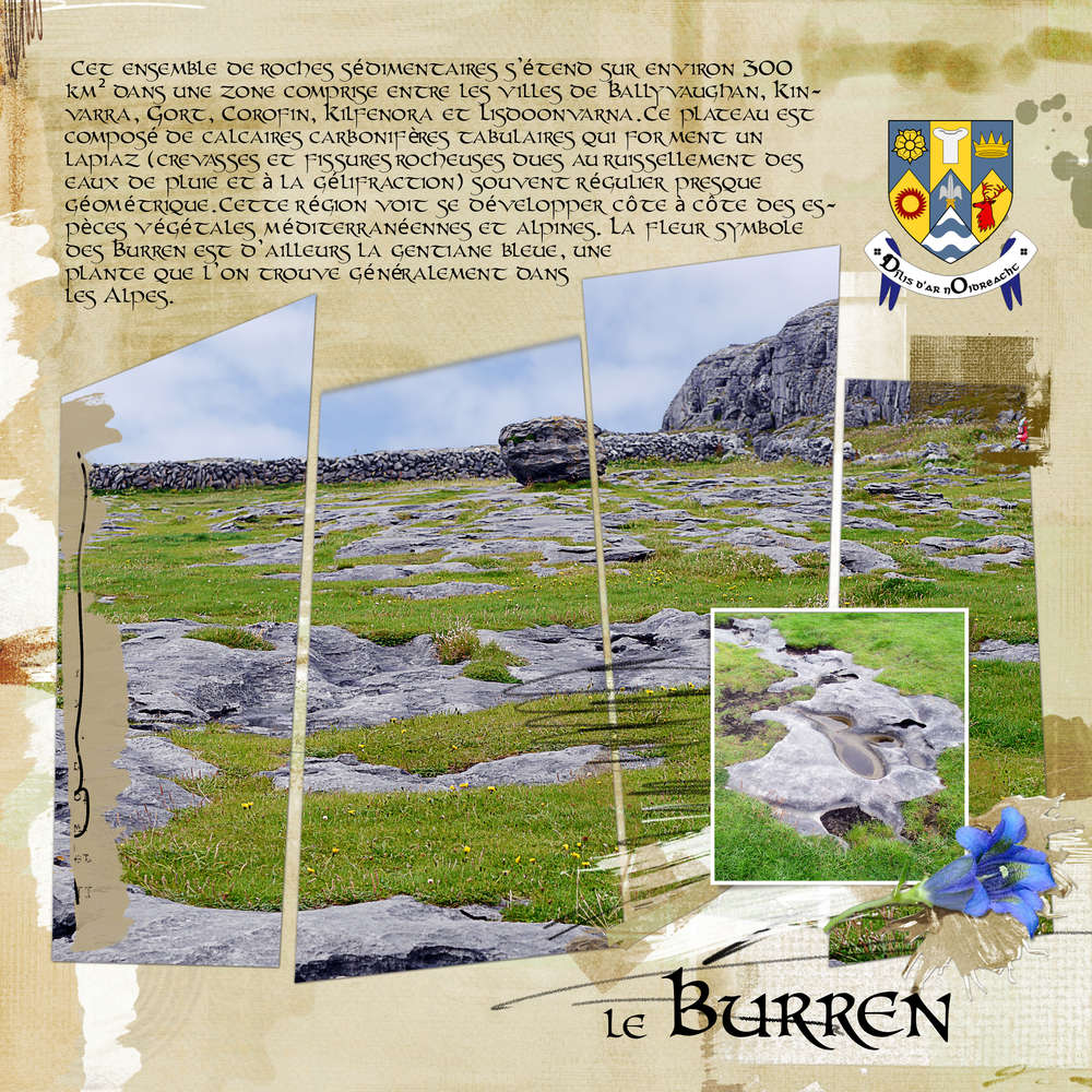 IRLANDE LE BURREN 1