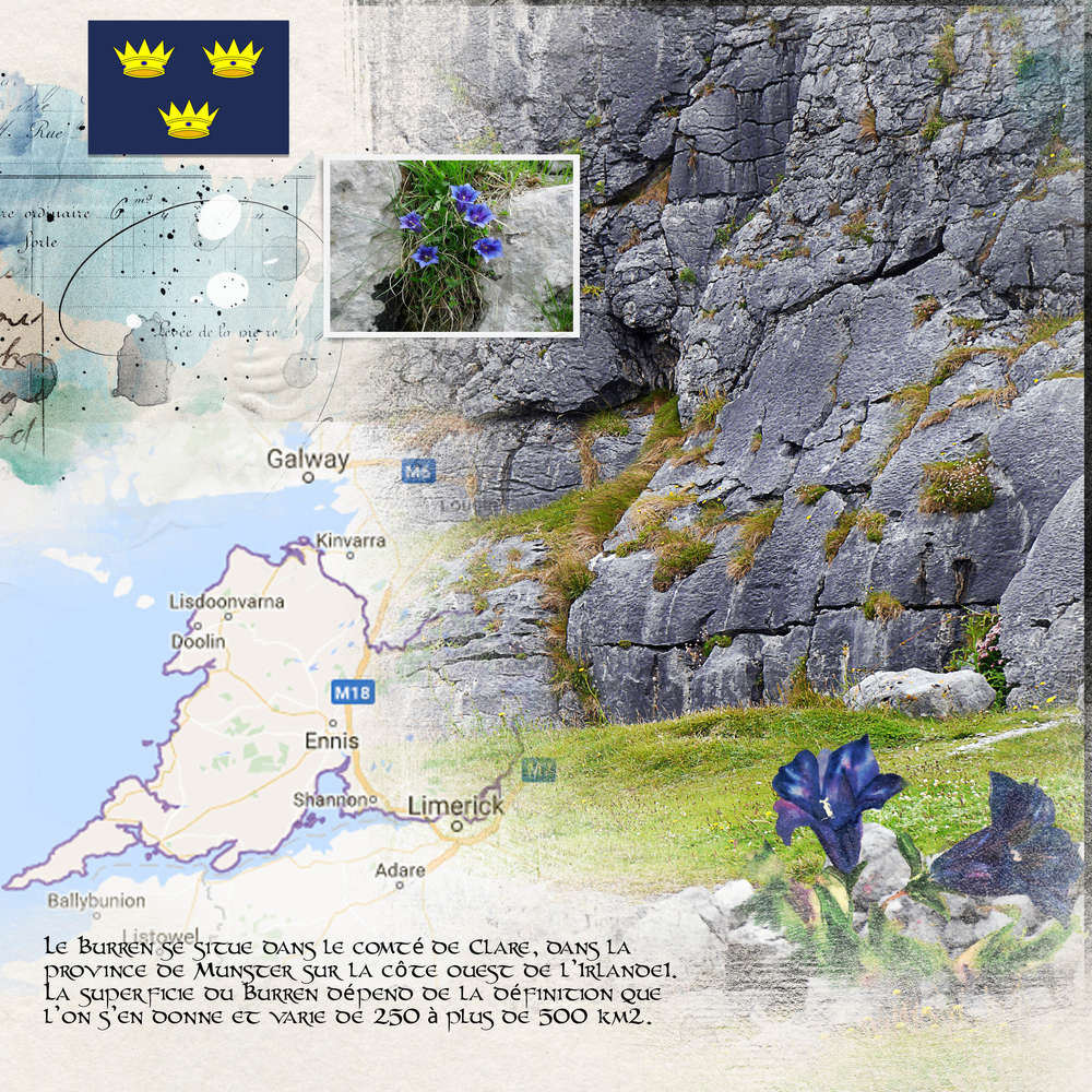 .IRLANDE LE BURREN N° 2