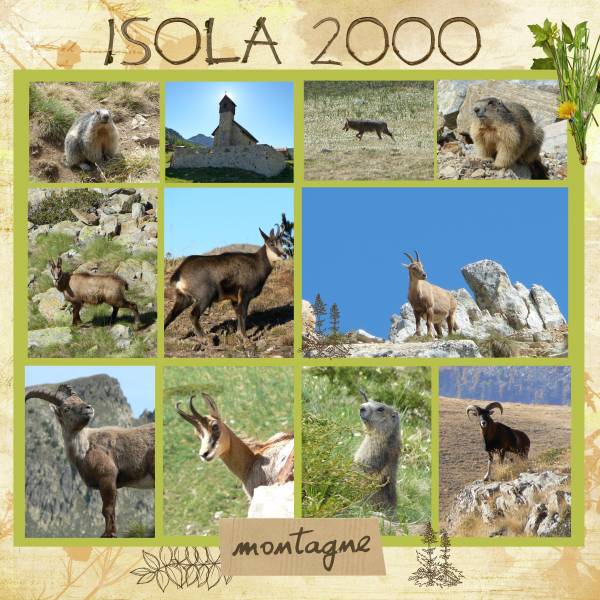 Isola 2000