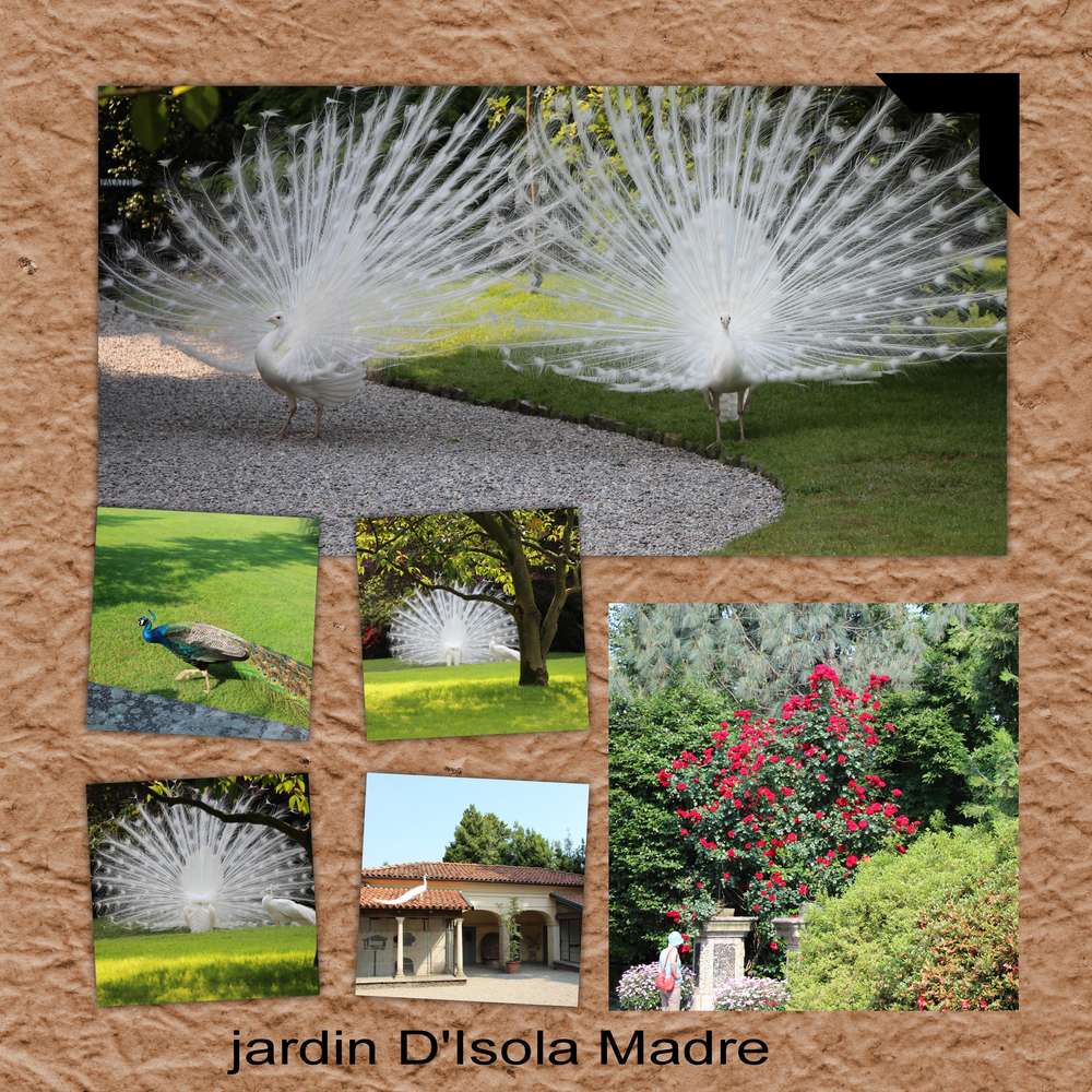 Isola_jardin_4