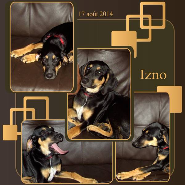 IZNO A SIX MOIS - 17 AOUT 2014