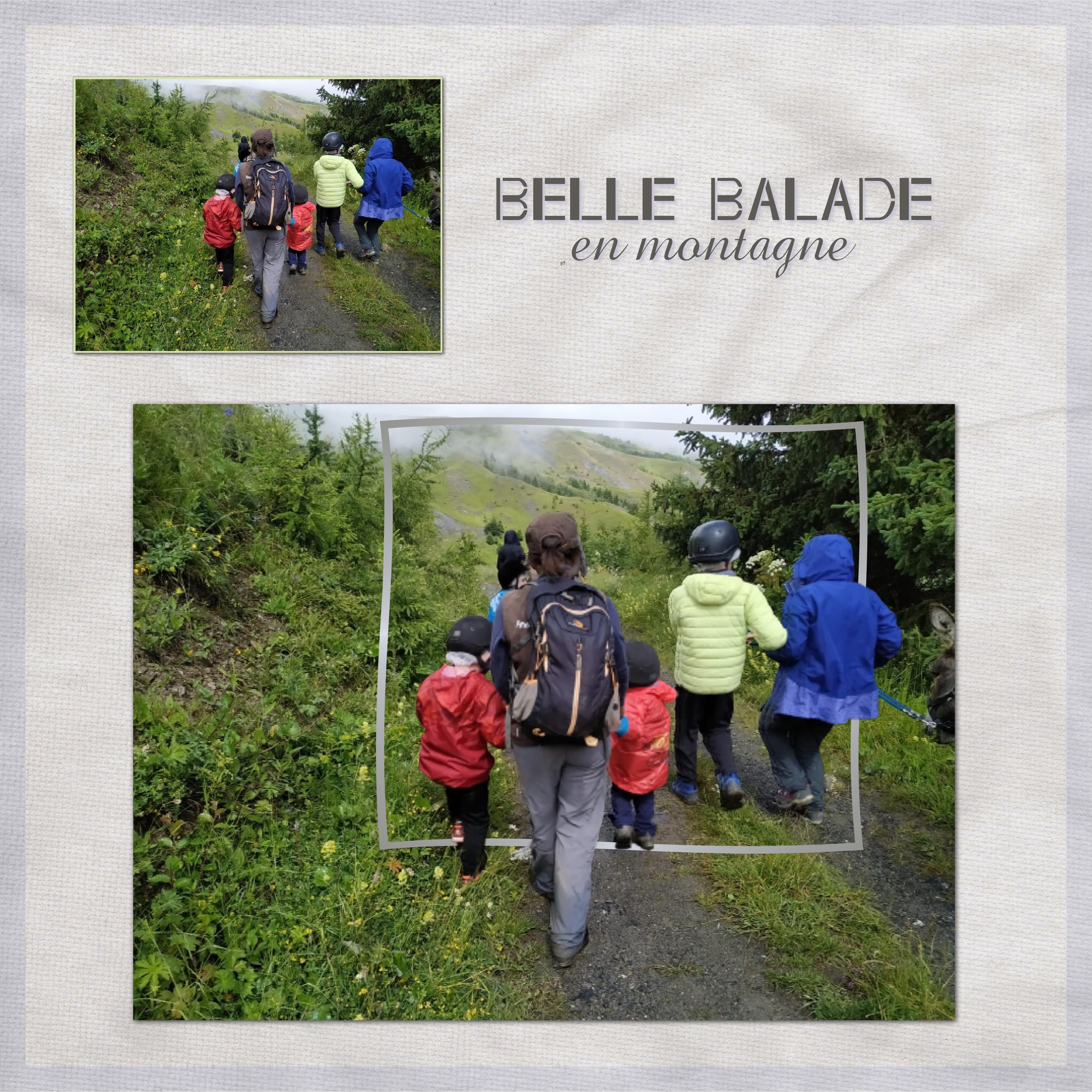 J-49 - BELLE BALADE EN MONTAGNE.jpg