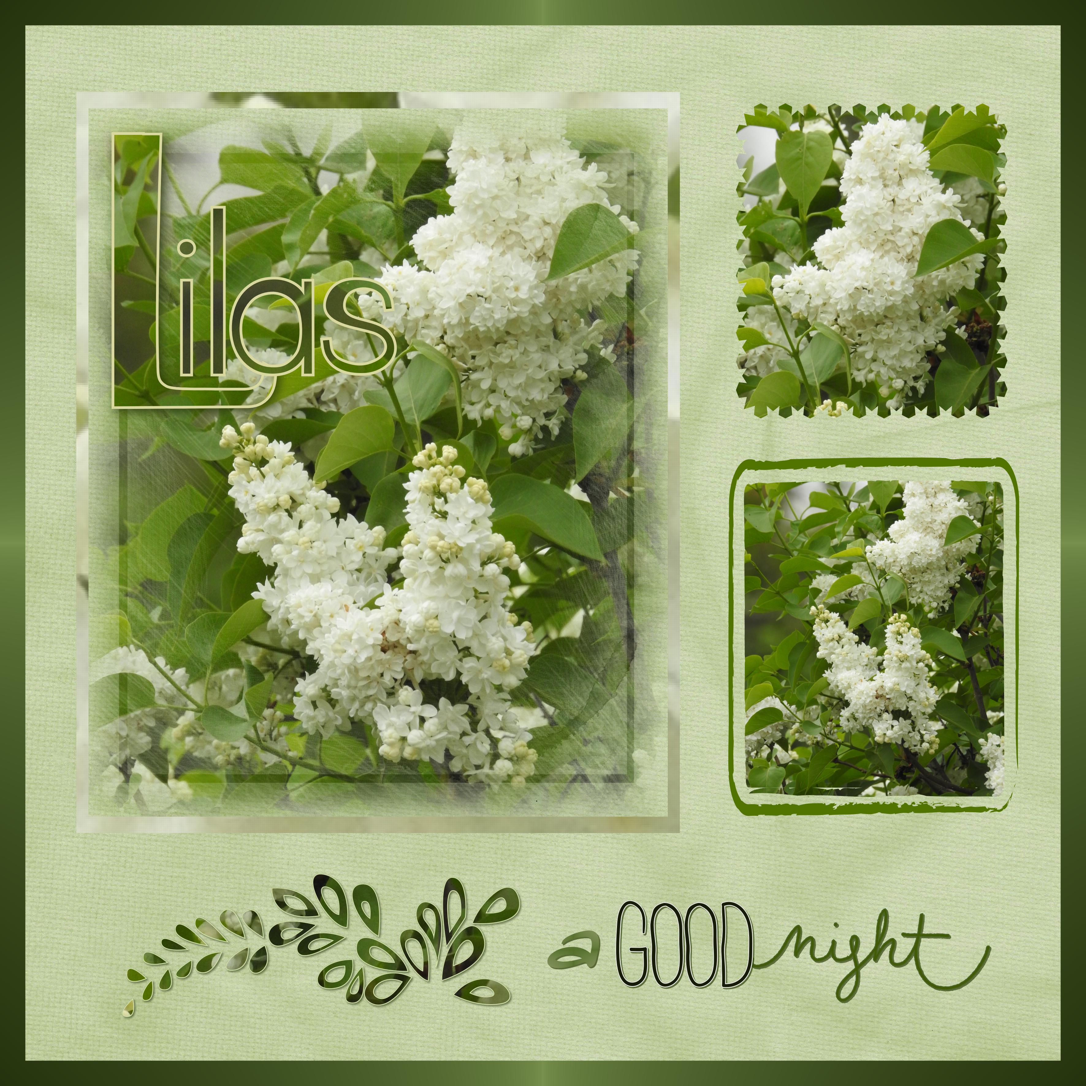 J - A GOOD NIGHT.jpg