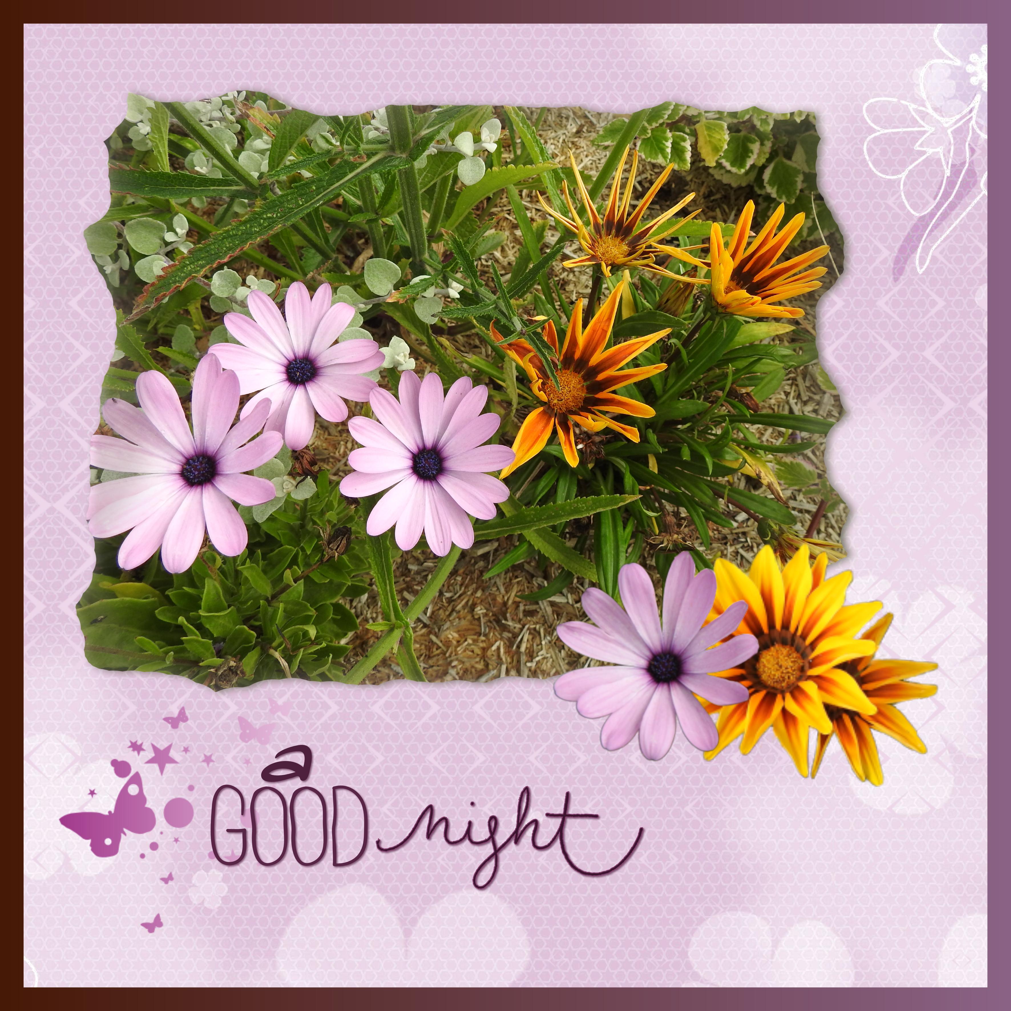 J - A GOOD NIGHT.jpg