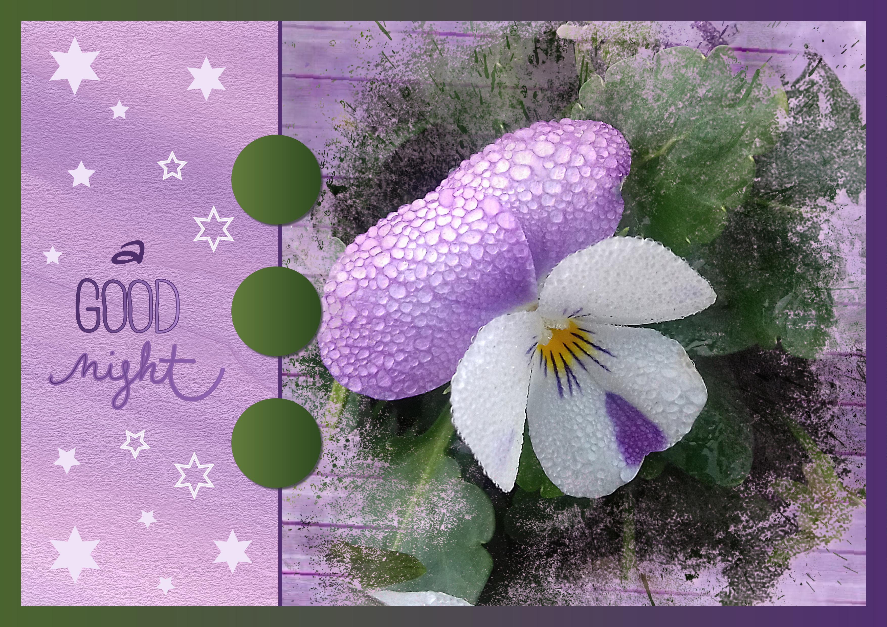 J - A GOOD NIGHT.jpg