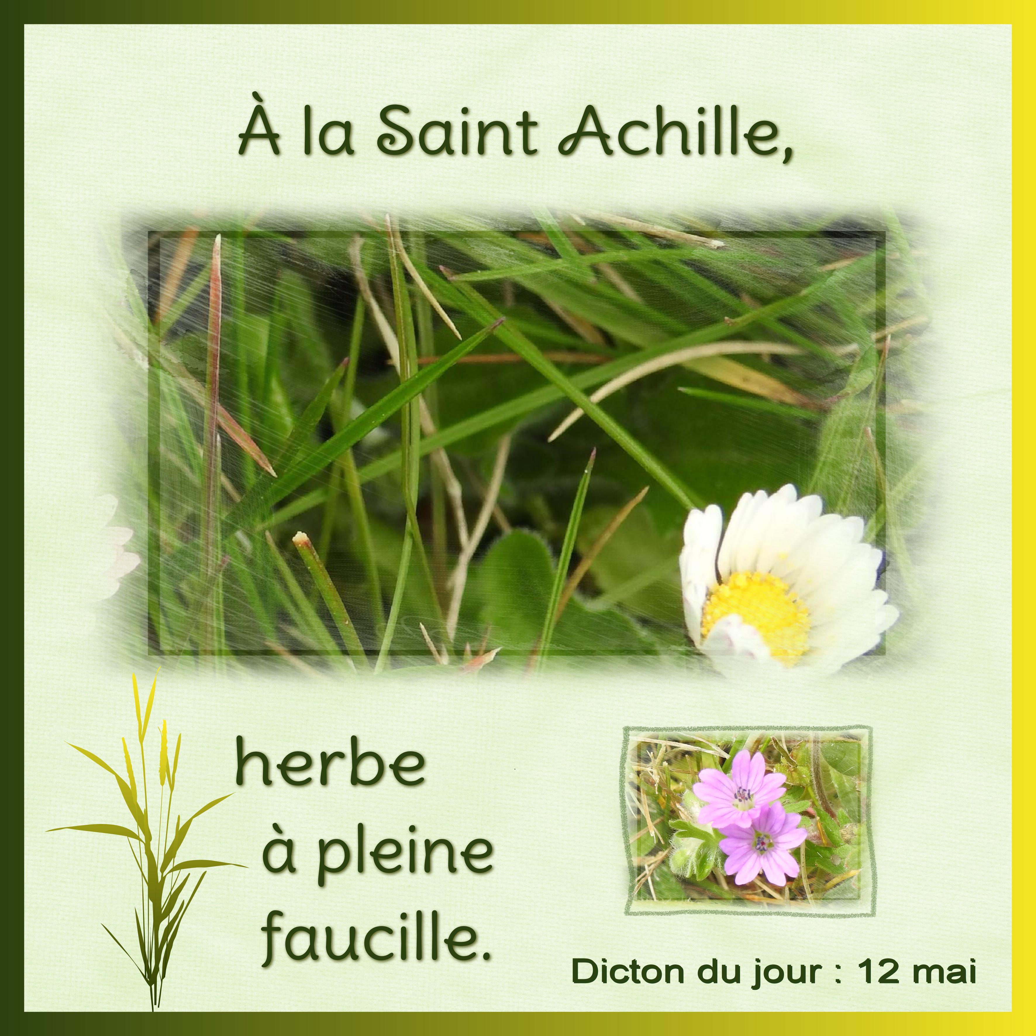 J - A LA SAINT-ACHILLE.jpg