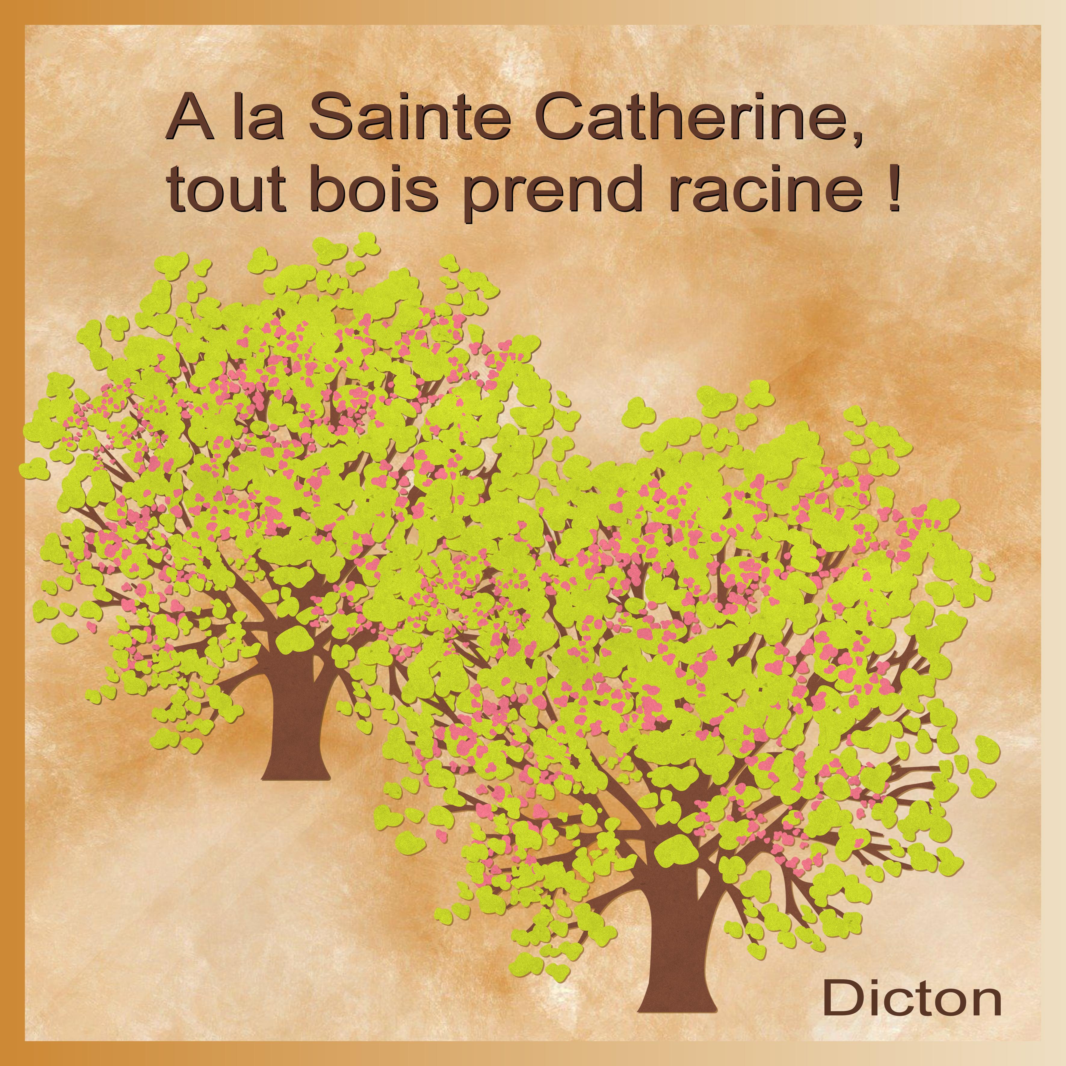 J - A LA SAINTE-CATHERINE.jpg