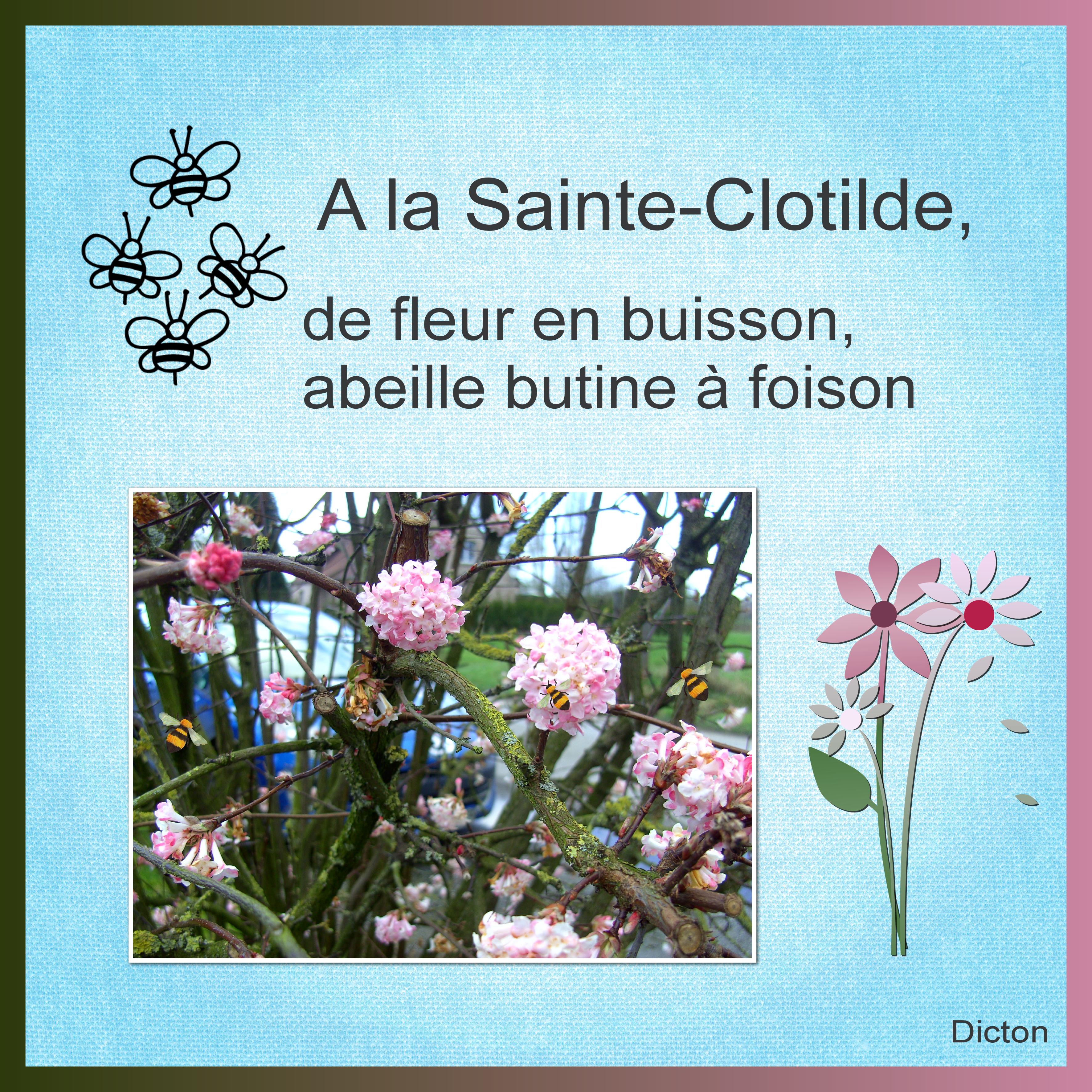 J - A LA SAINTE-CLOTILDE .jpg
