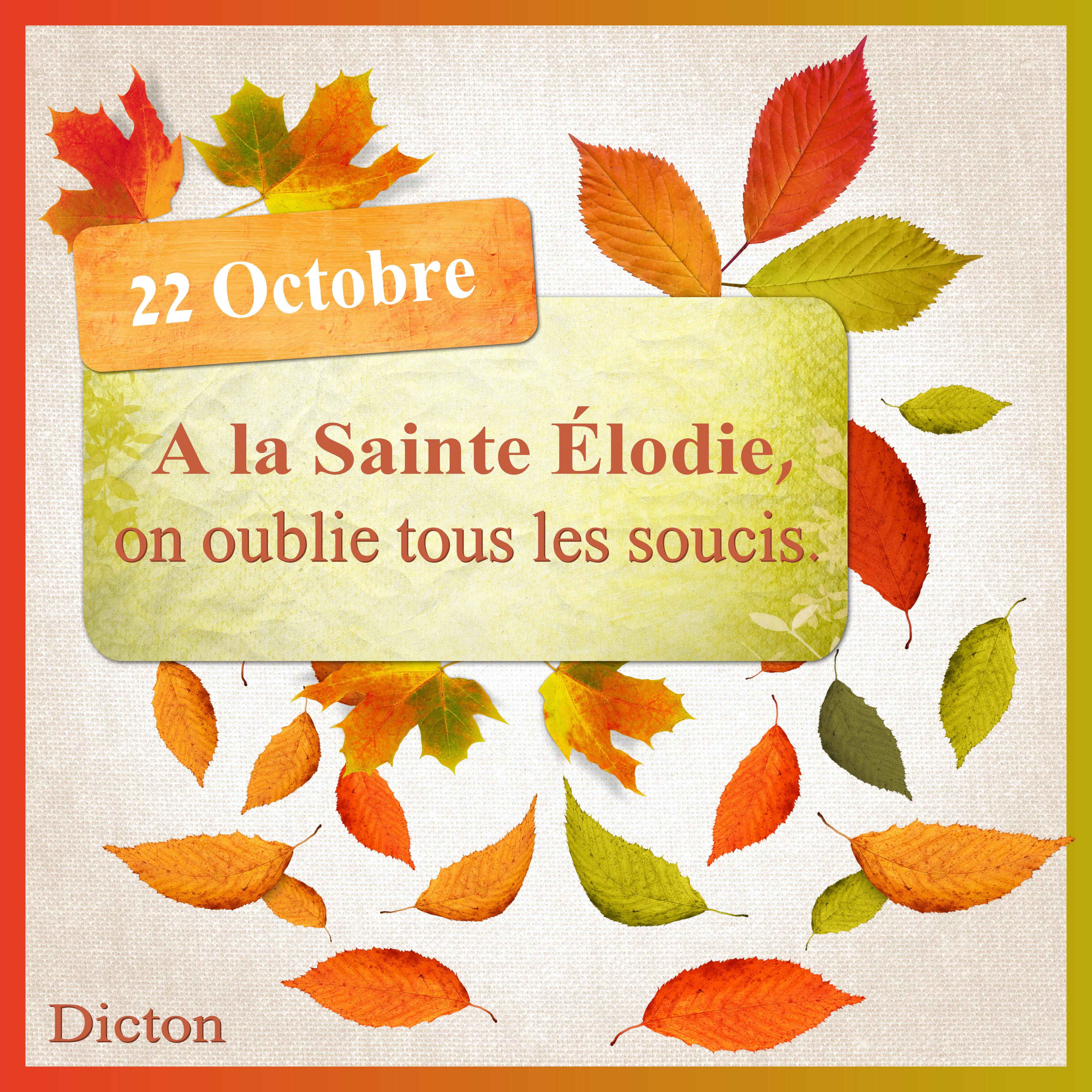 J - A LA SAINTE ELODIE.jpg