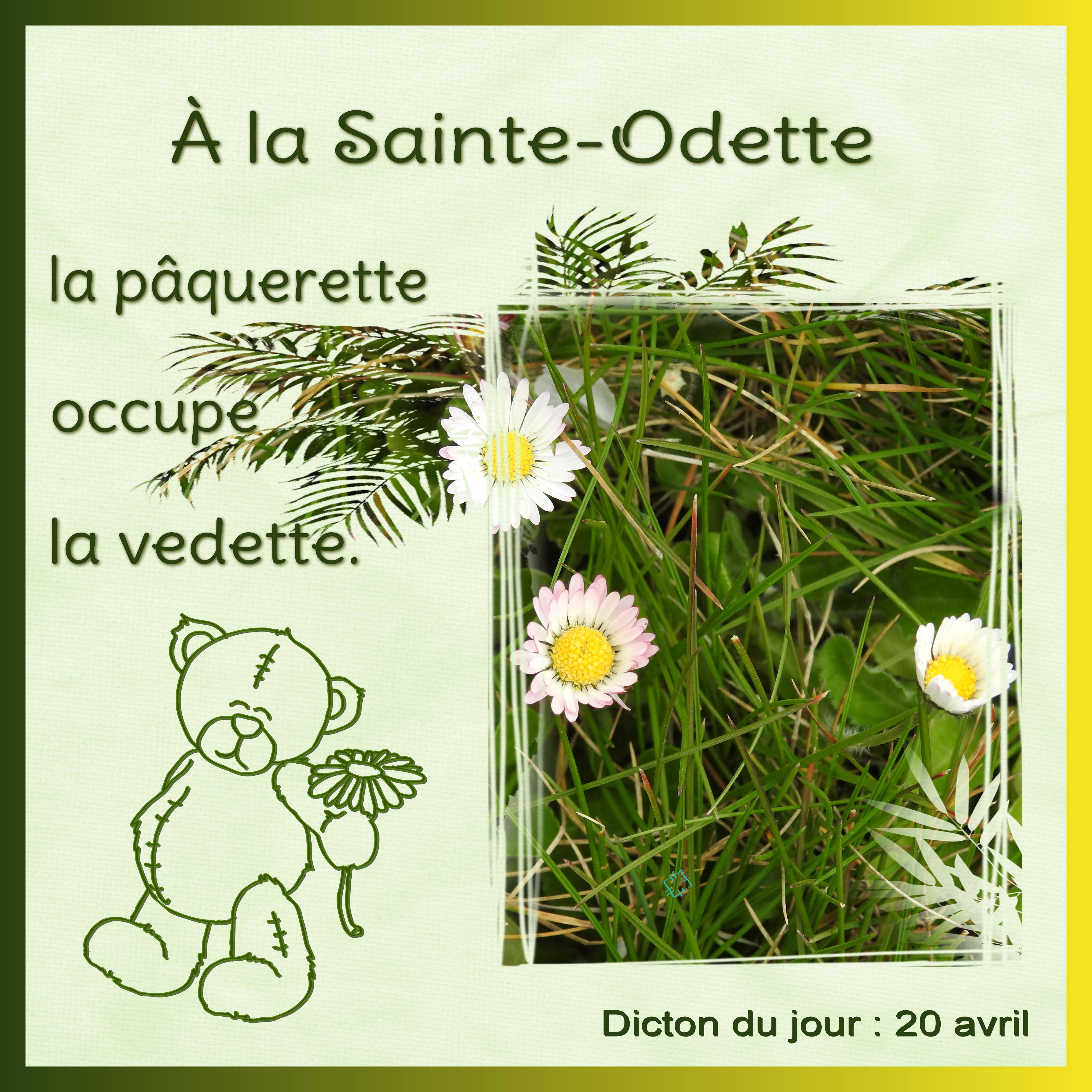 J - A LA SAINTE-ODETTE ....jpg