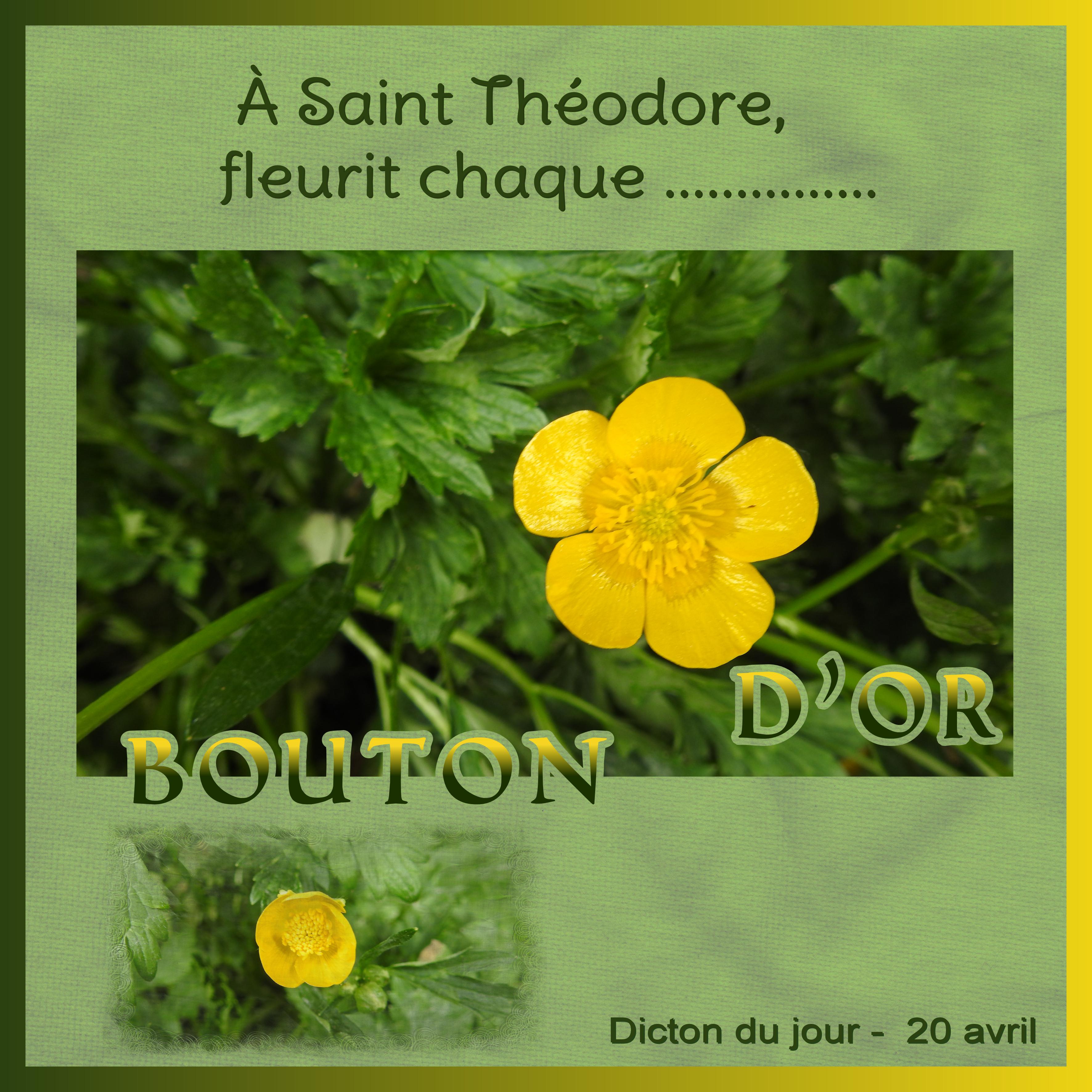 J - A SAINT THEODORE....jpg