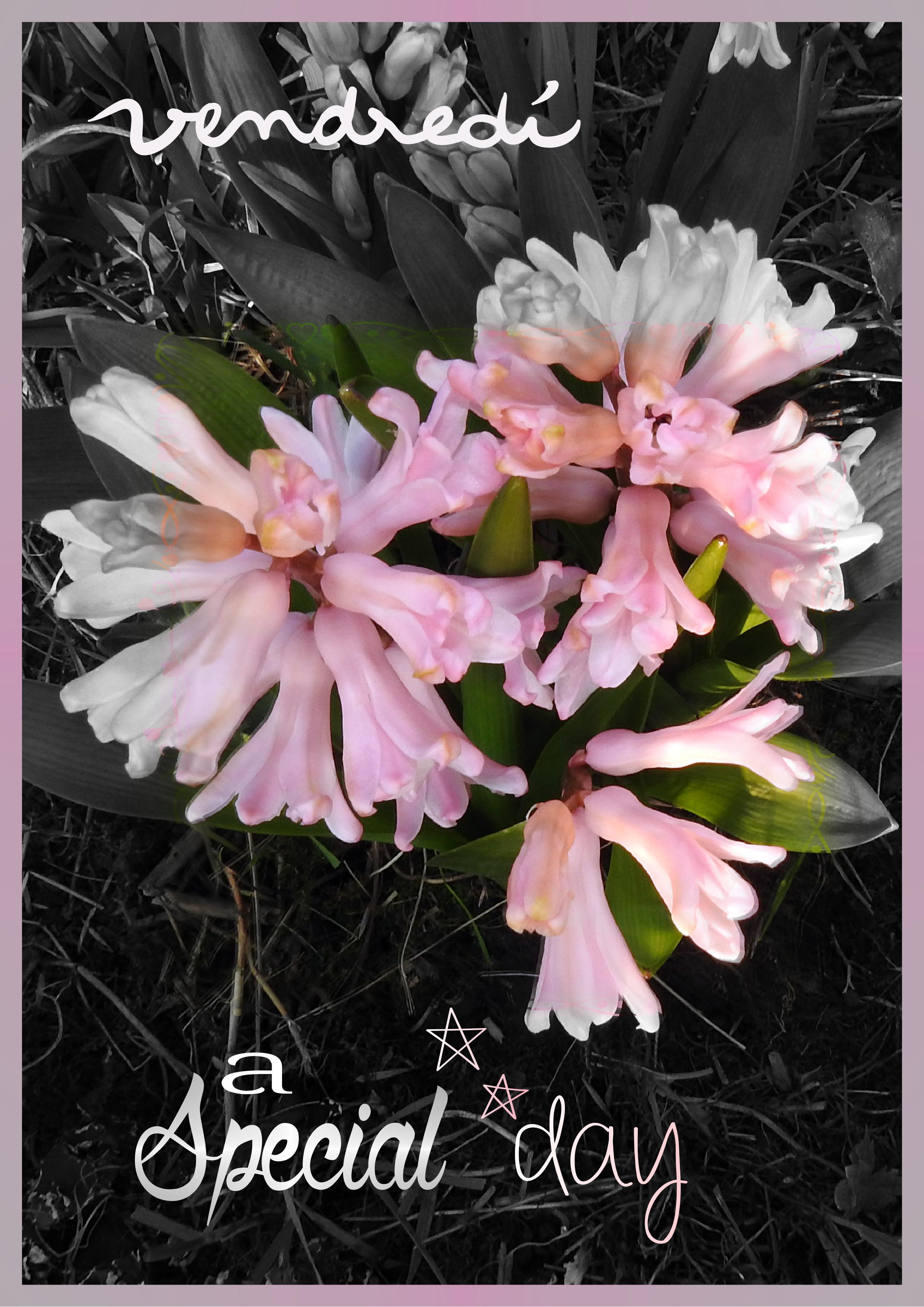 J - A SPECIAL DAY.jpg