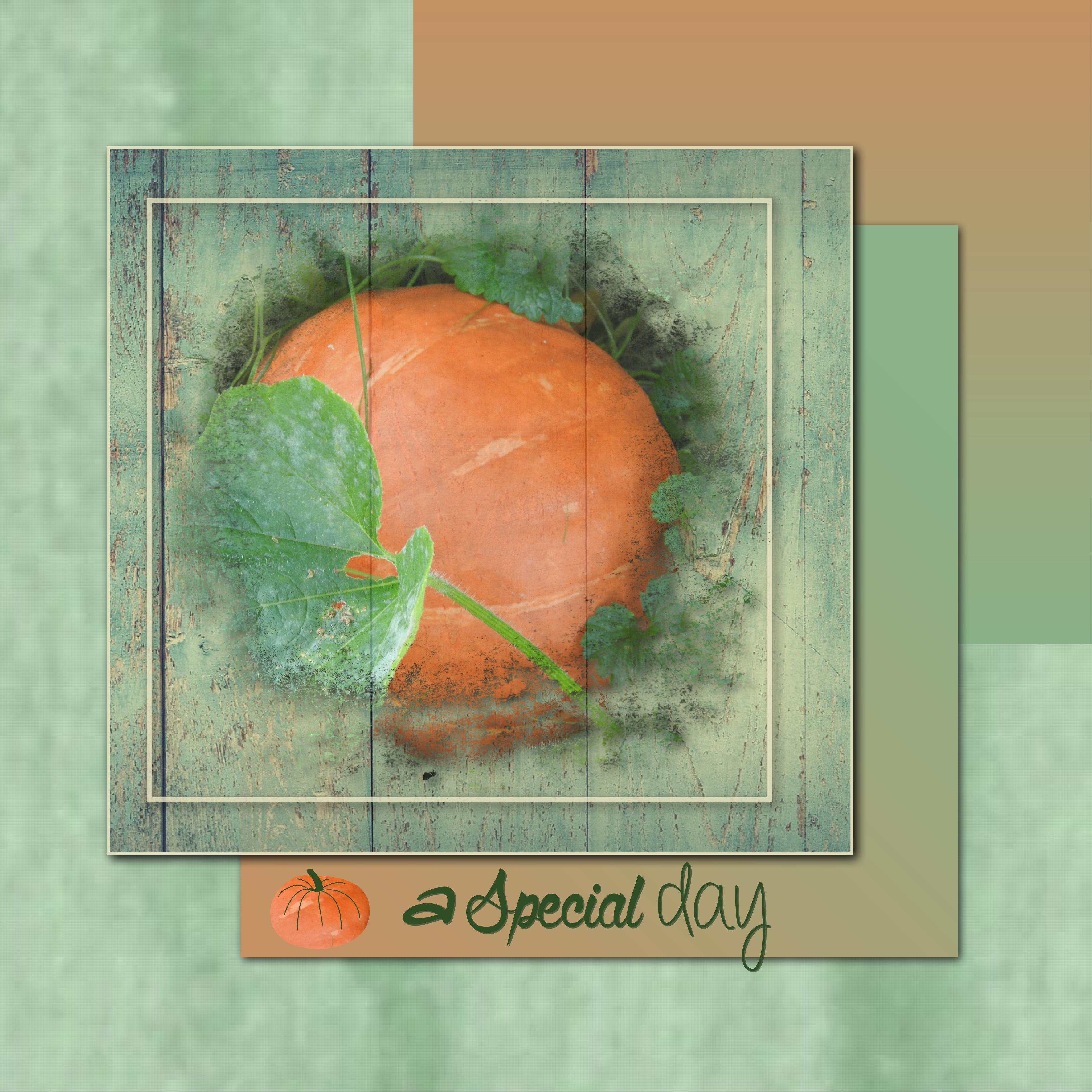 J - A SPECIAL DAY.jpg