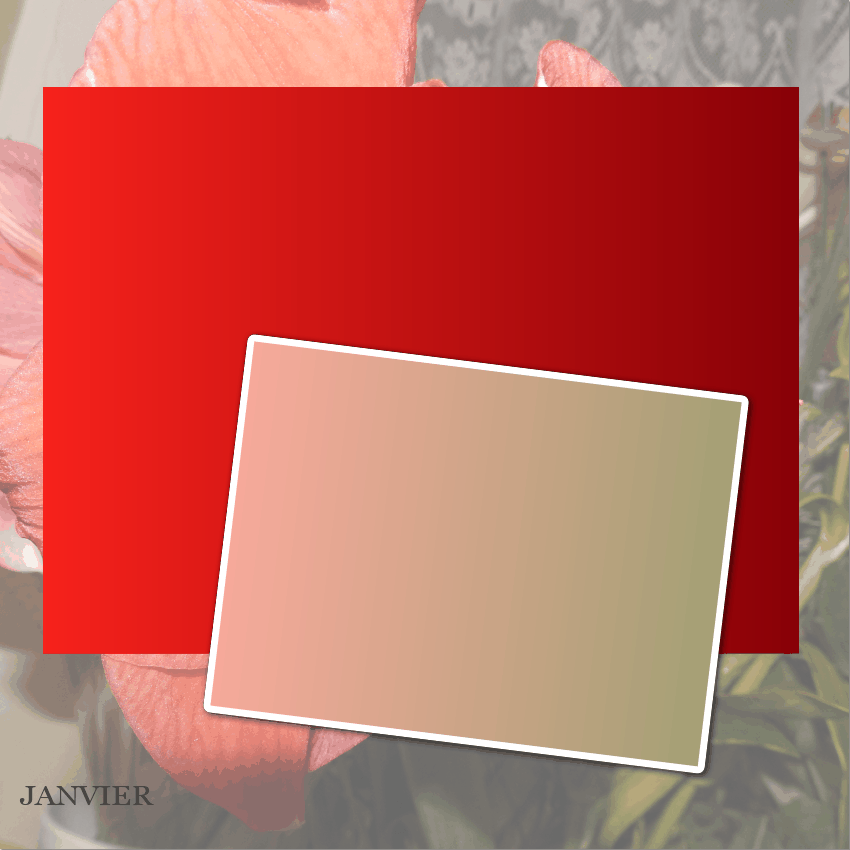 J-a1 - ANNIVERSAIRES DE JANVIER.gif