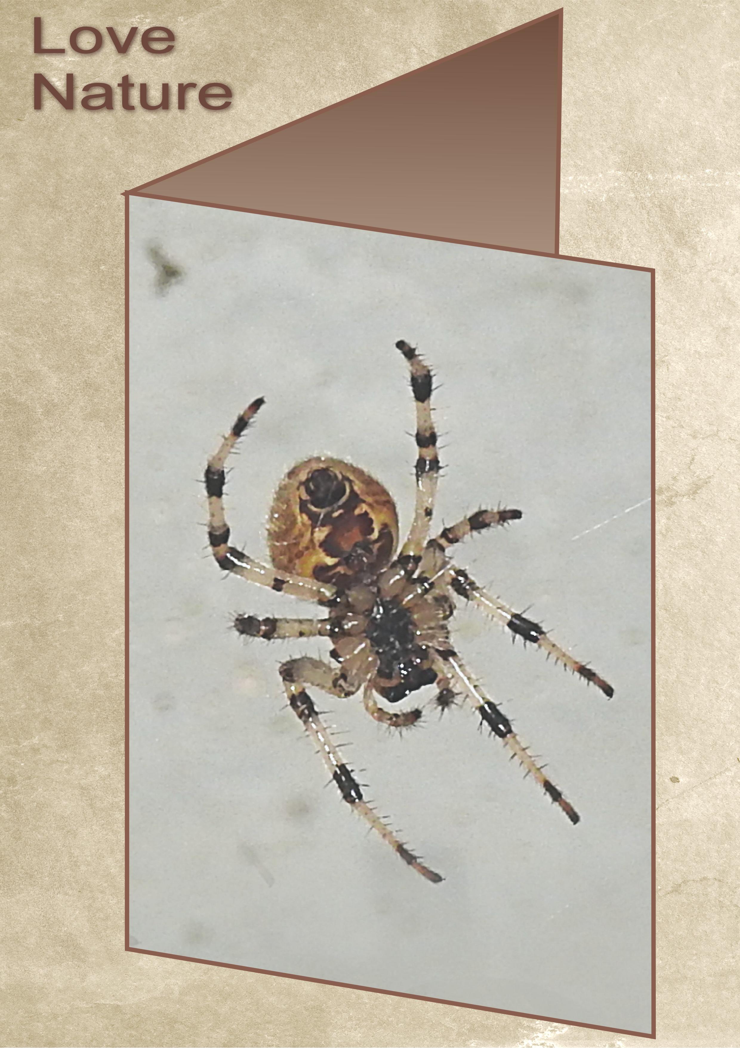 J-A1 - LOVE NATURE.jpg