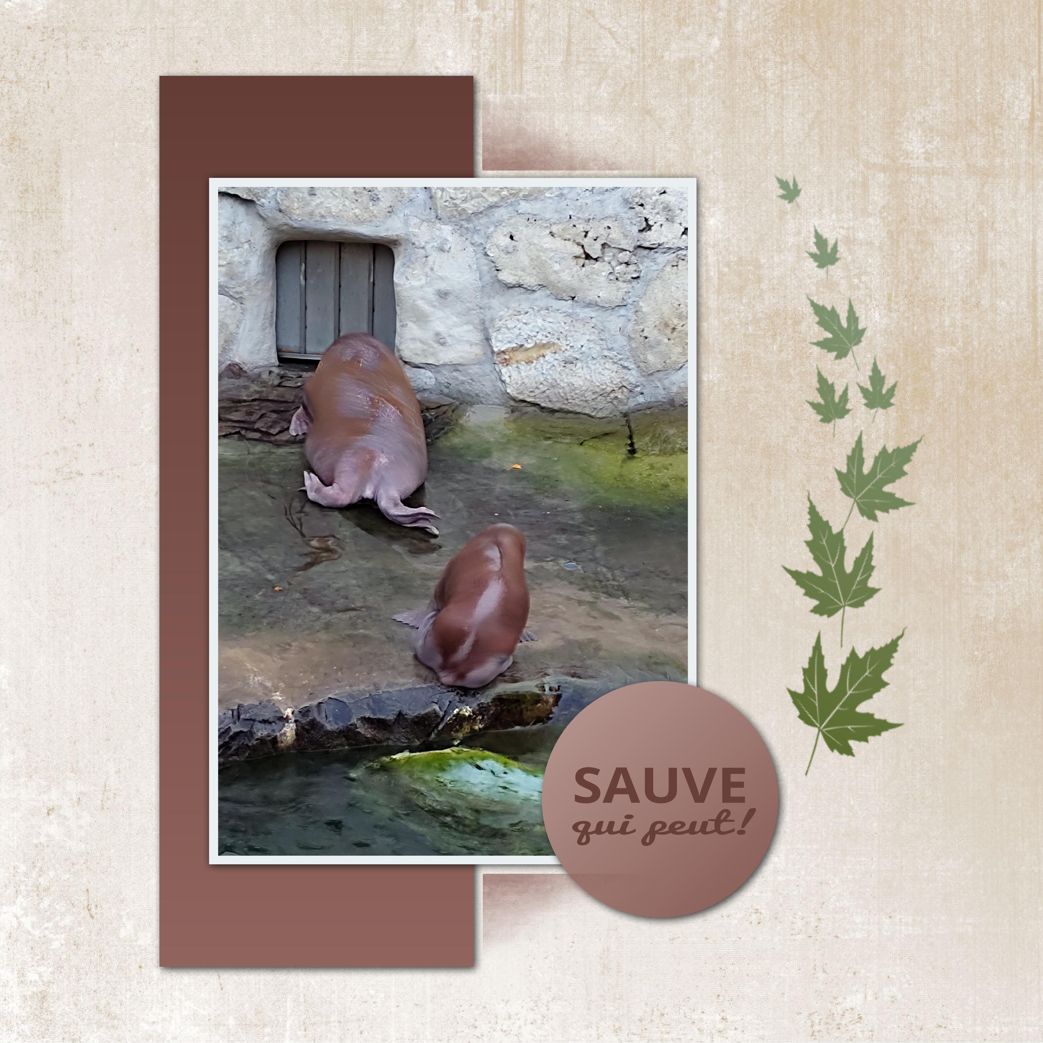 J-A107 - SAUVE QUI PEUT.jpg