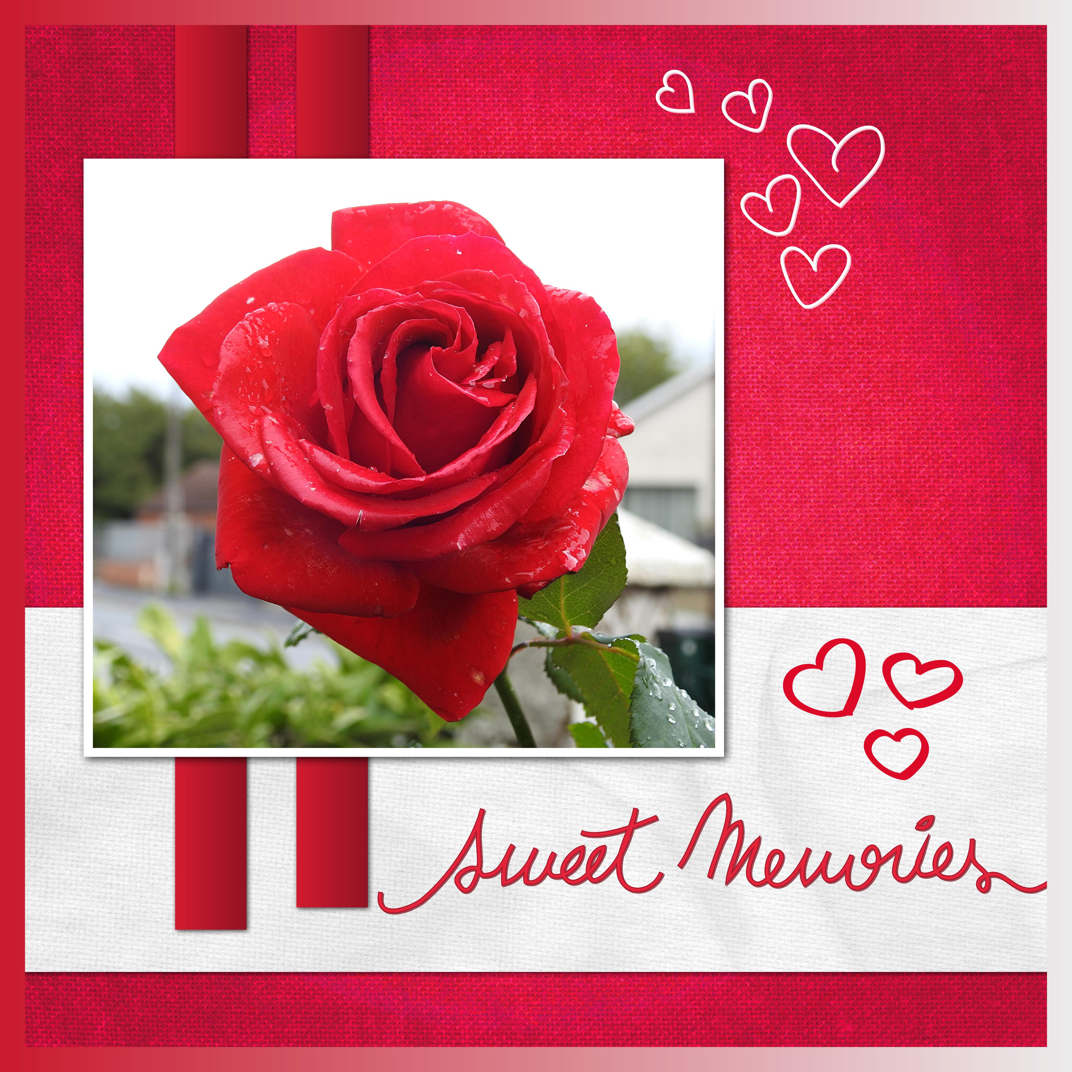 J-a111 - SWEET MEMORIES.jpg