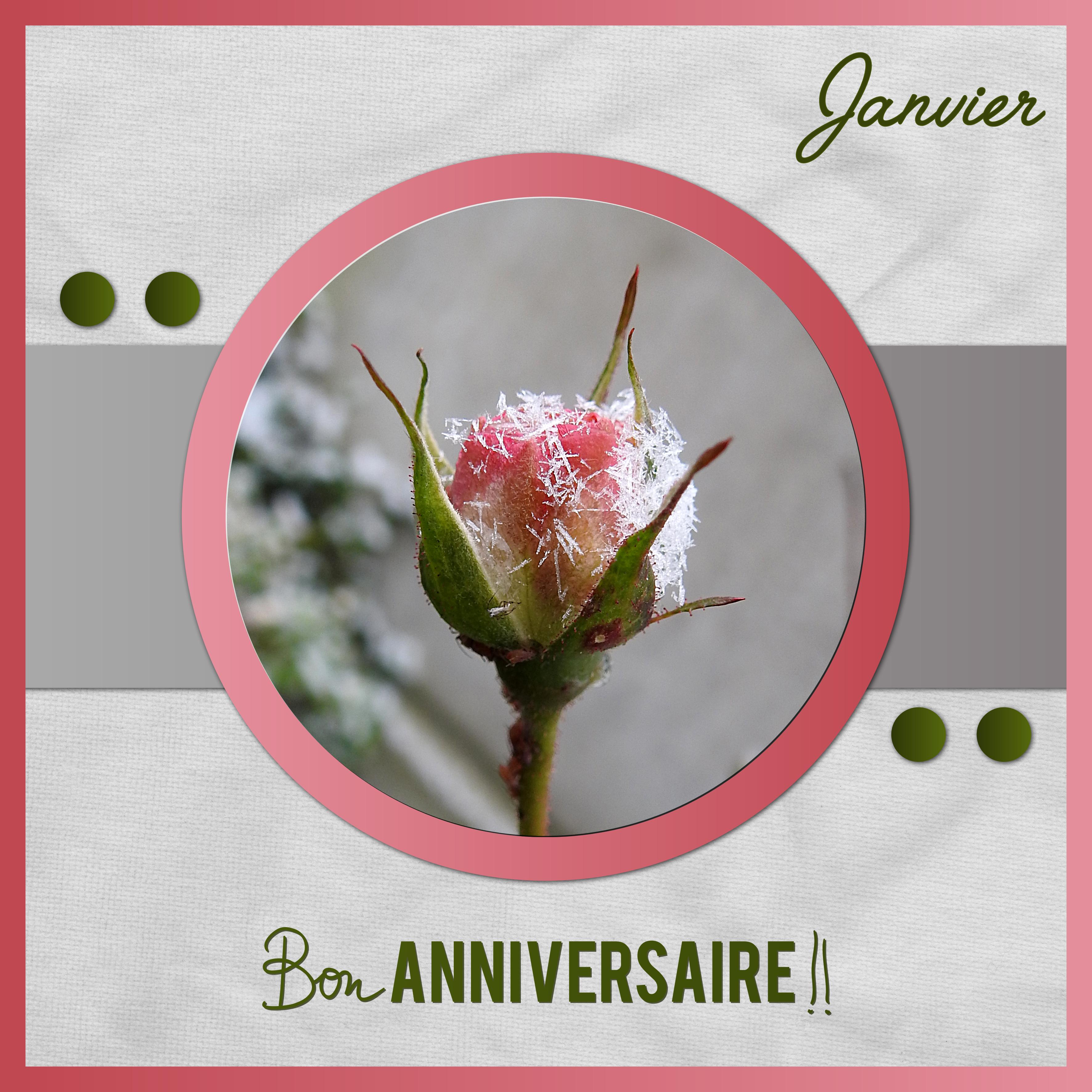 J-a113 - BON ANNIVERSAIRE.jpg
