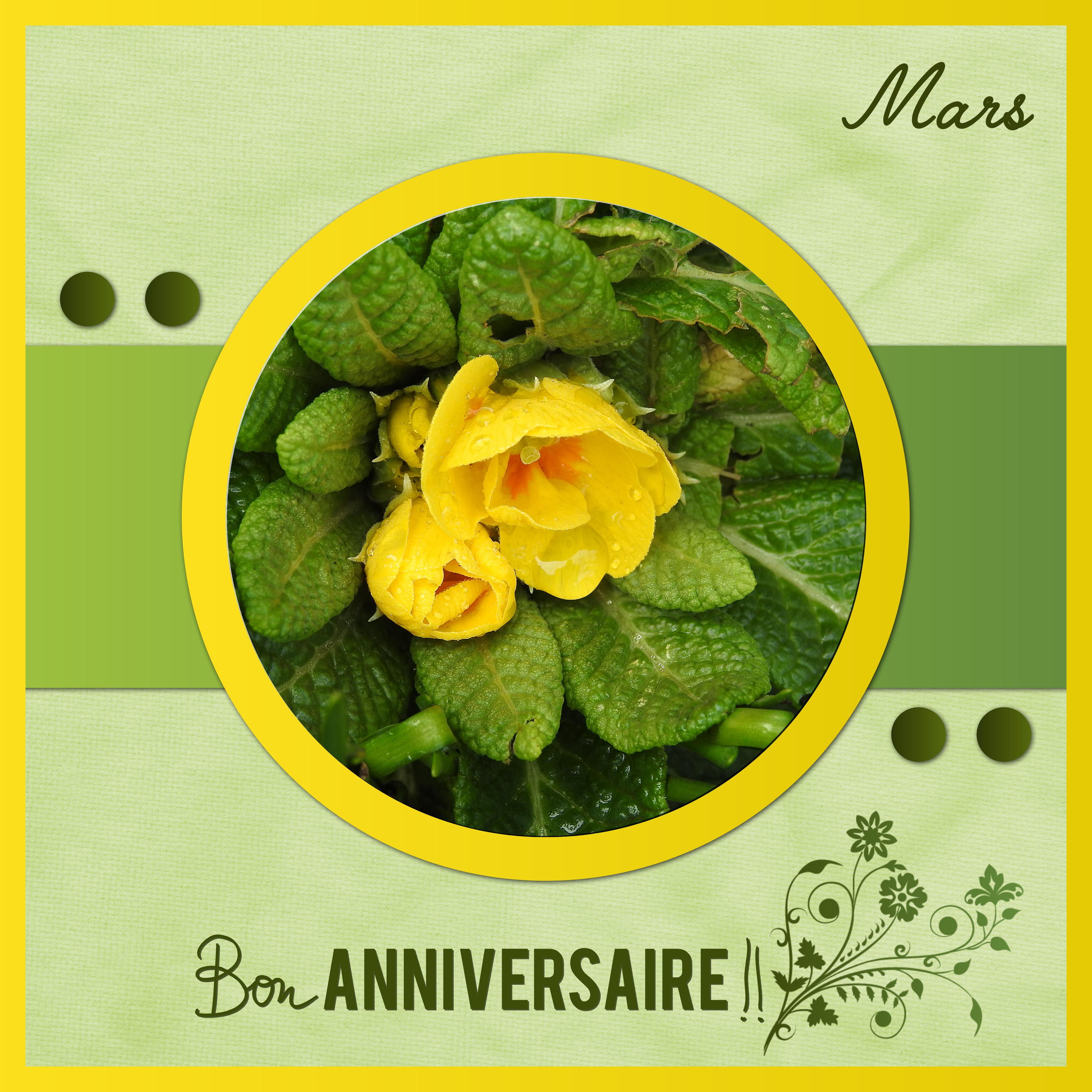 J-a114 - BON ANNIVERSAIRE.jpg