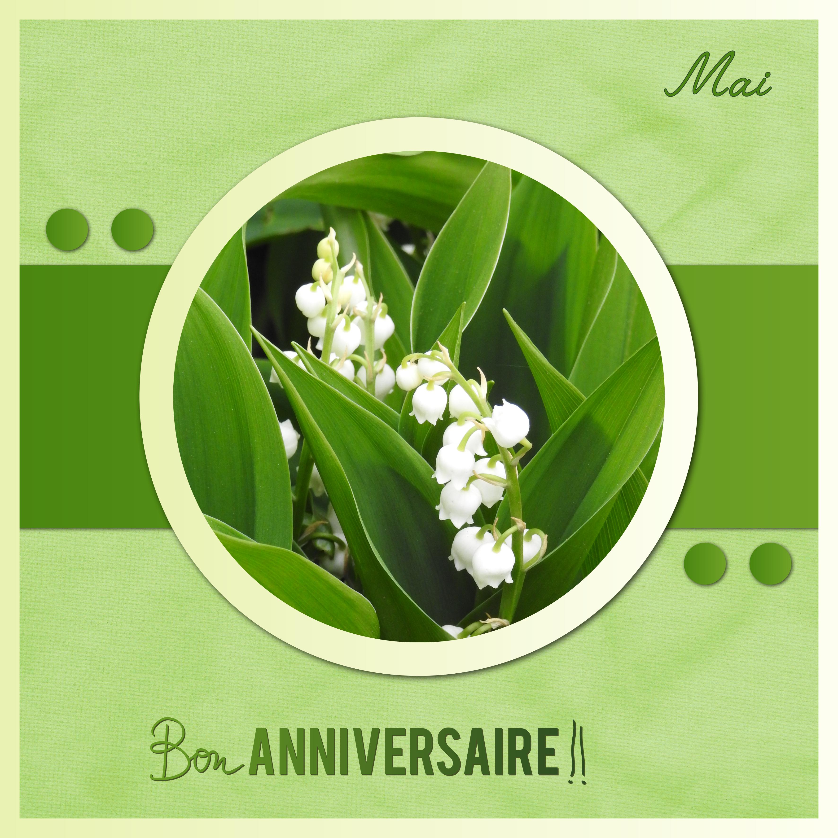J-a118 - BON ANNIVERSAIRE.jpg