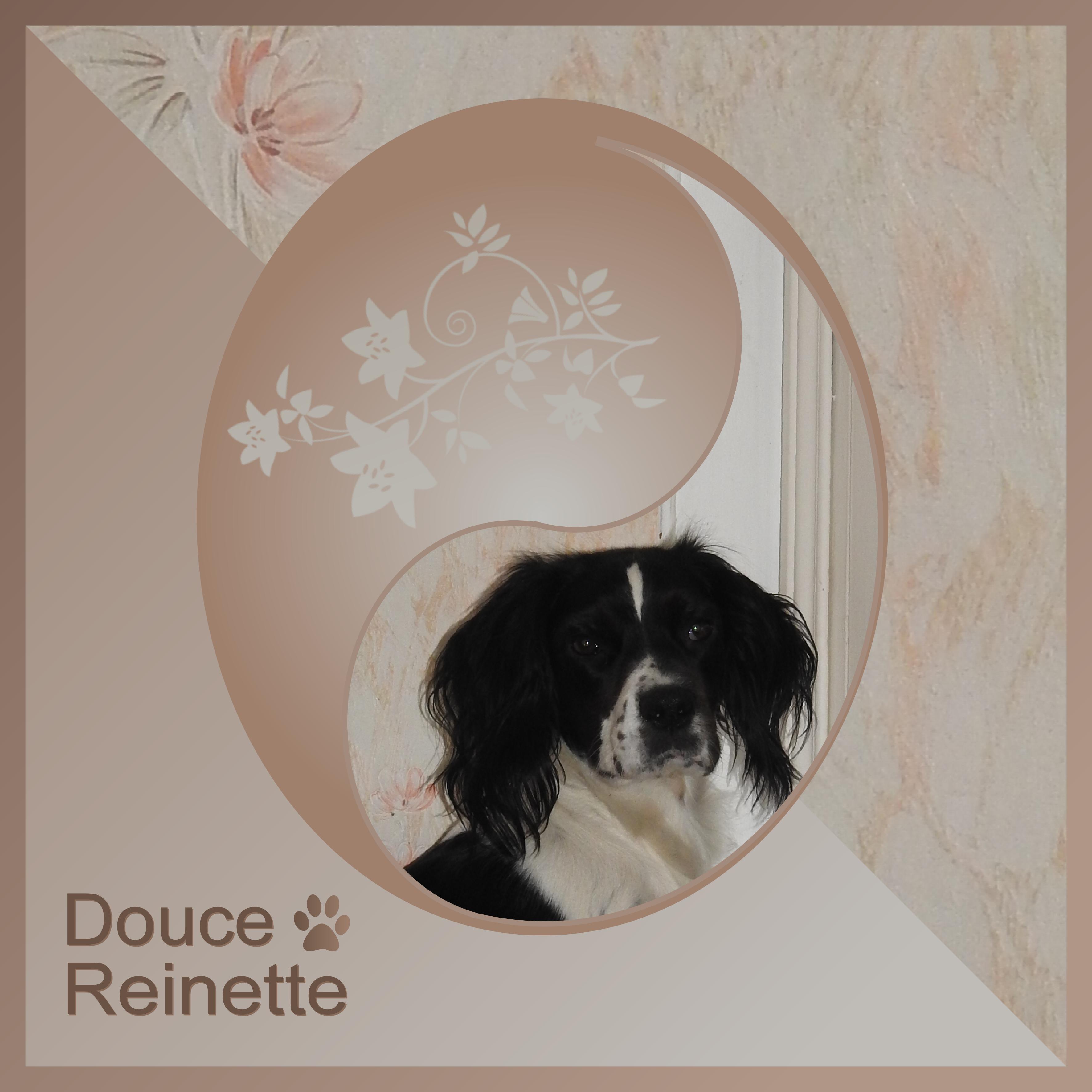 J-A119 - DOUCE REINETTE.jpg