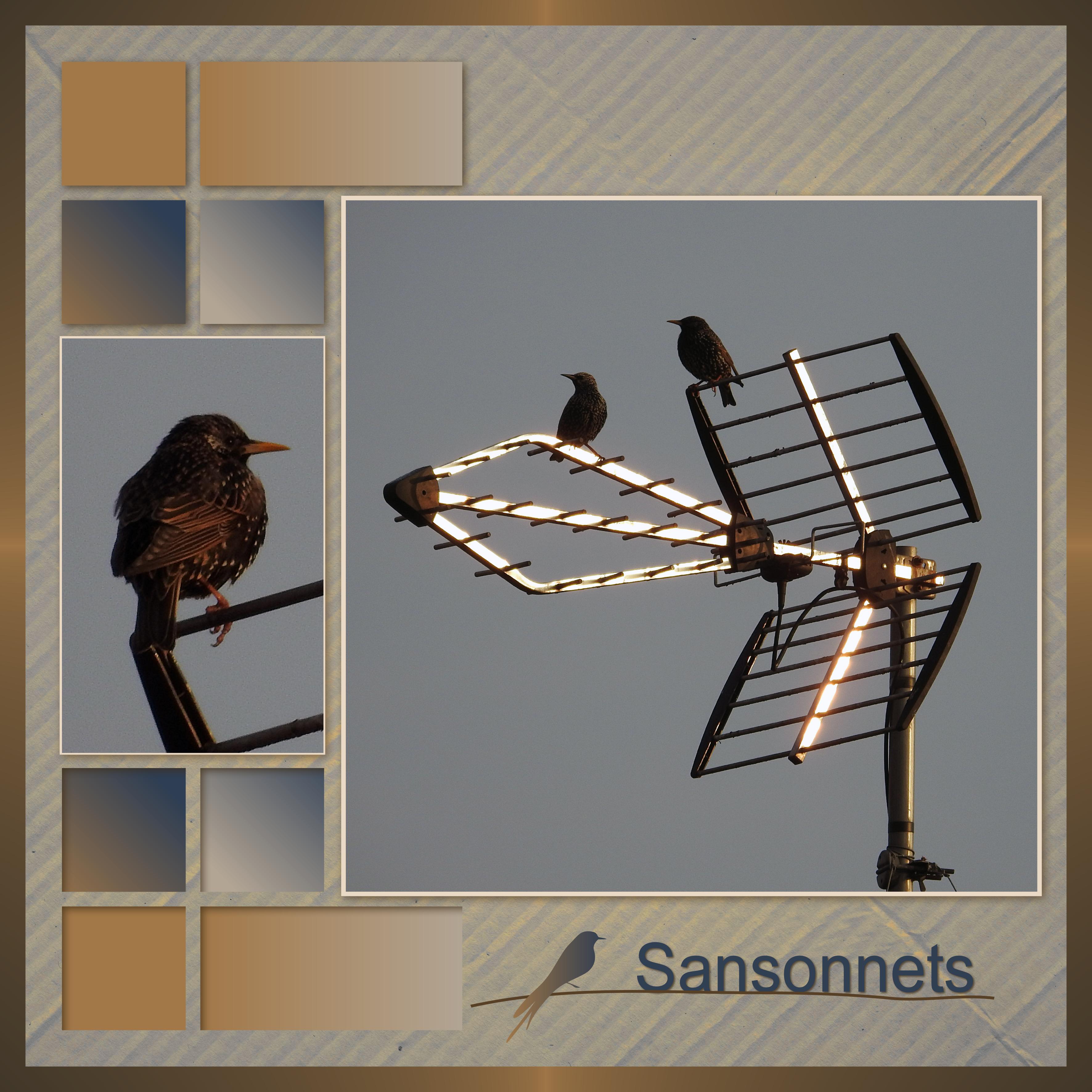 J-A12 - SANSONNETS.jpg