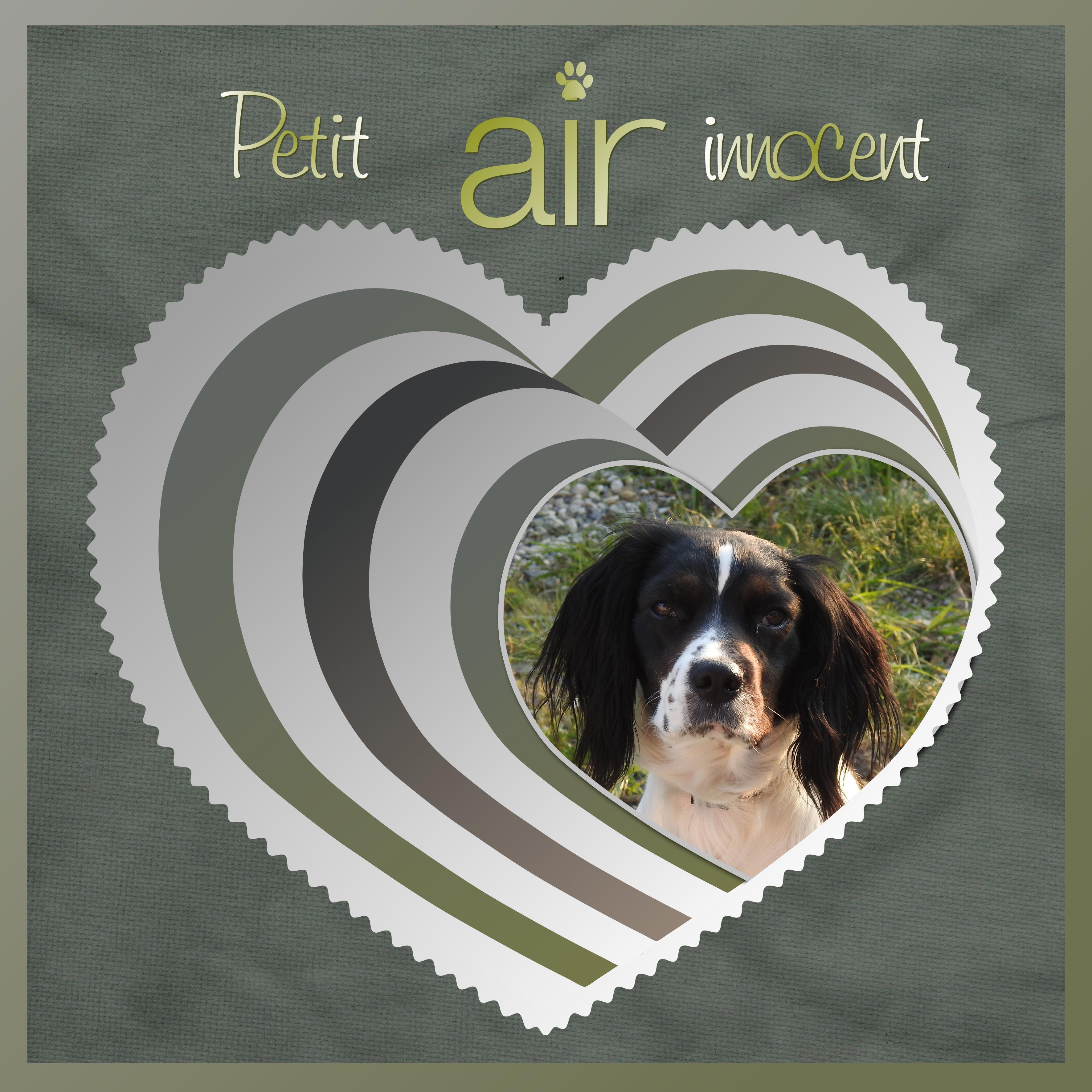 J-A120 - PETIT AIR INNOCENT.jpg