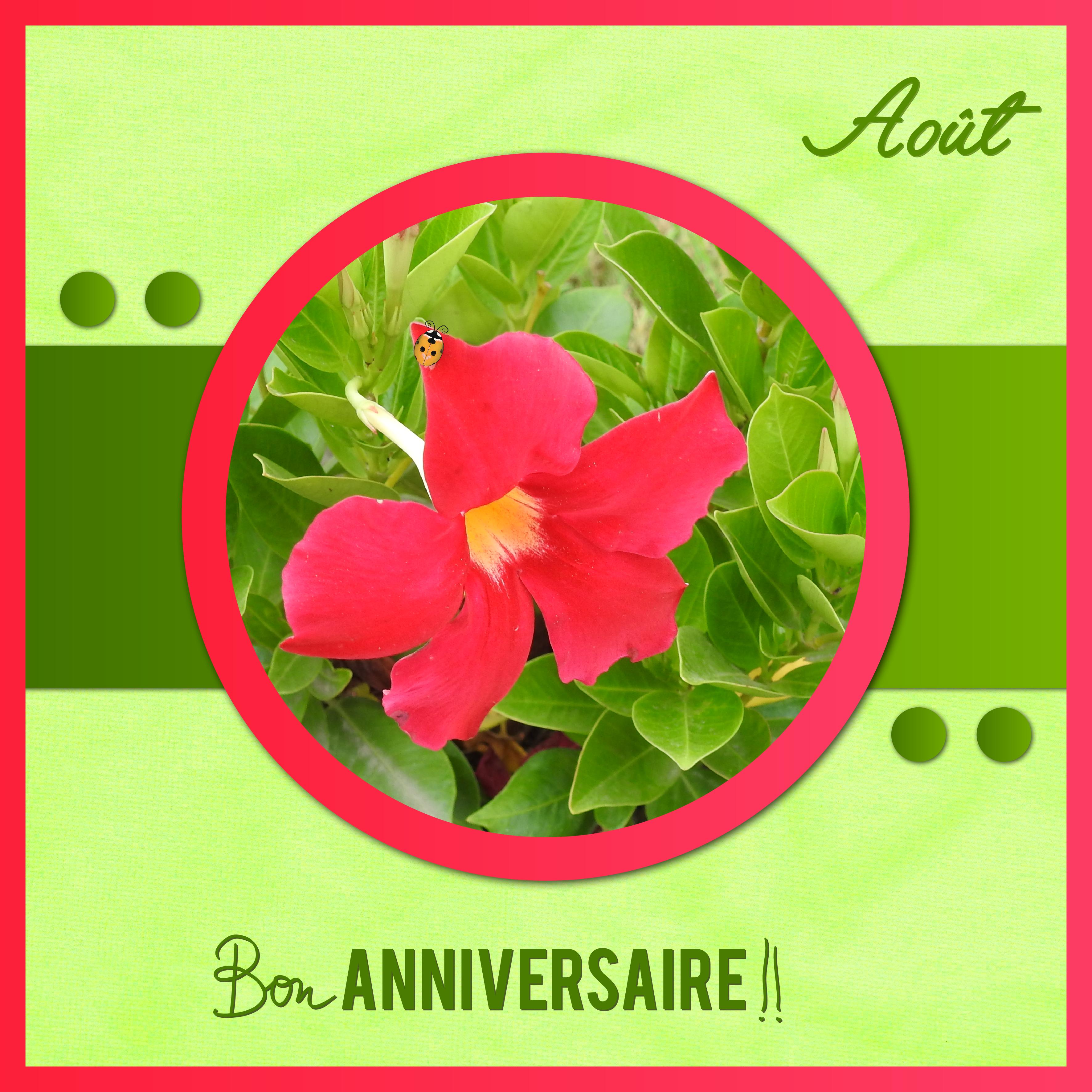 J-a123 - BON ANNIVERSAIRE.jpg