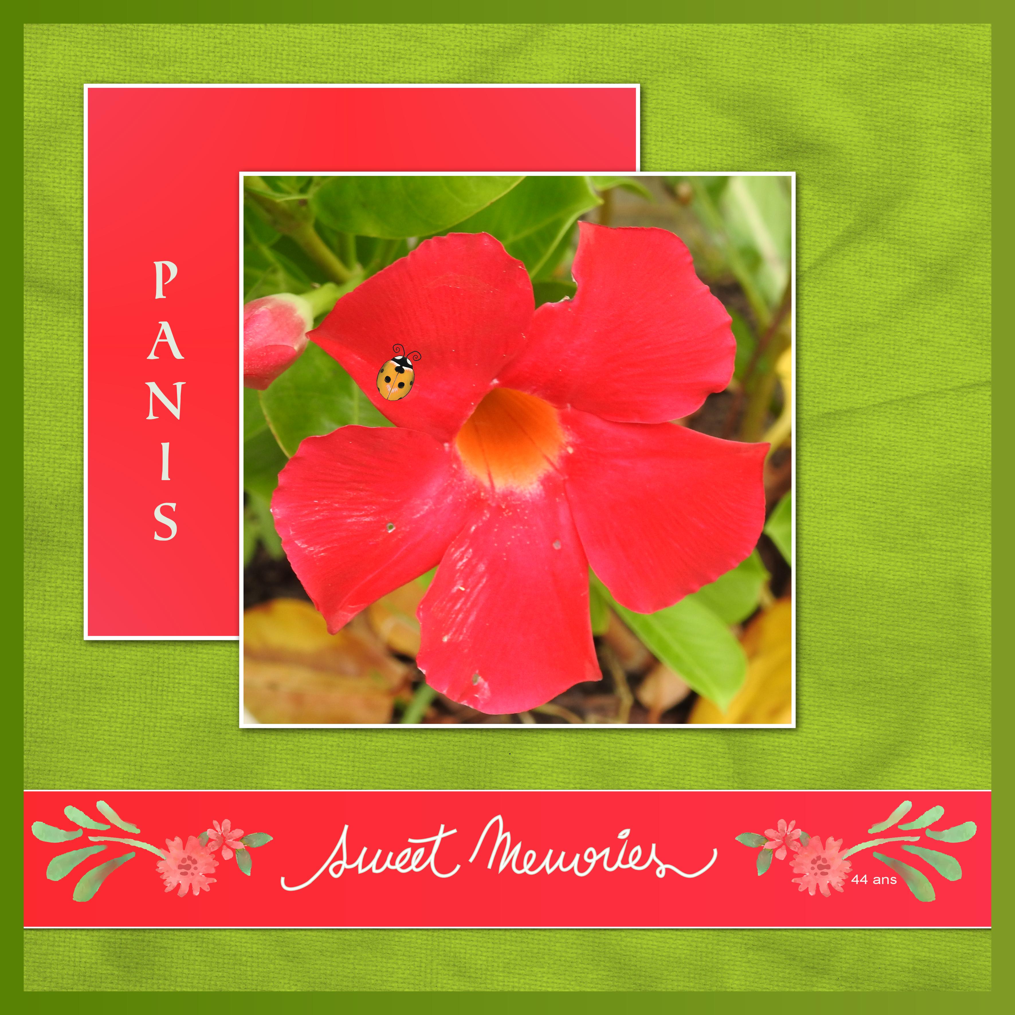 J-a126 - SWEET MEMORIES.jpg