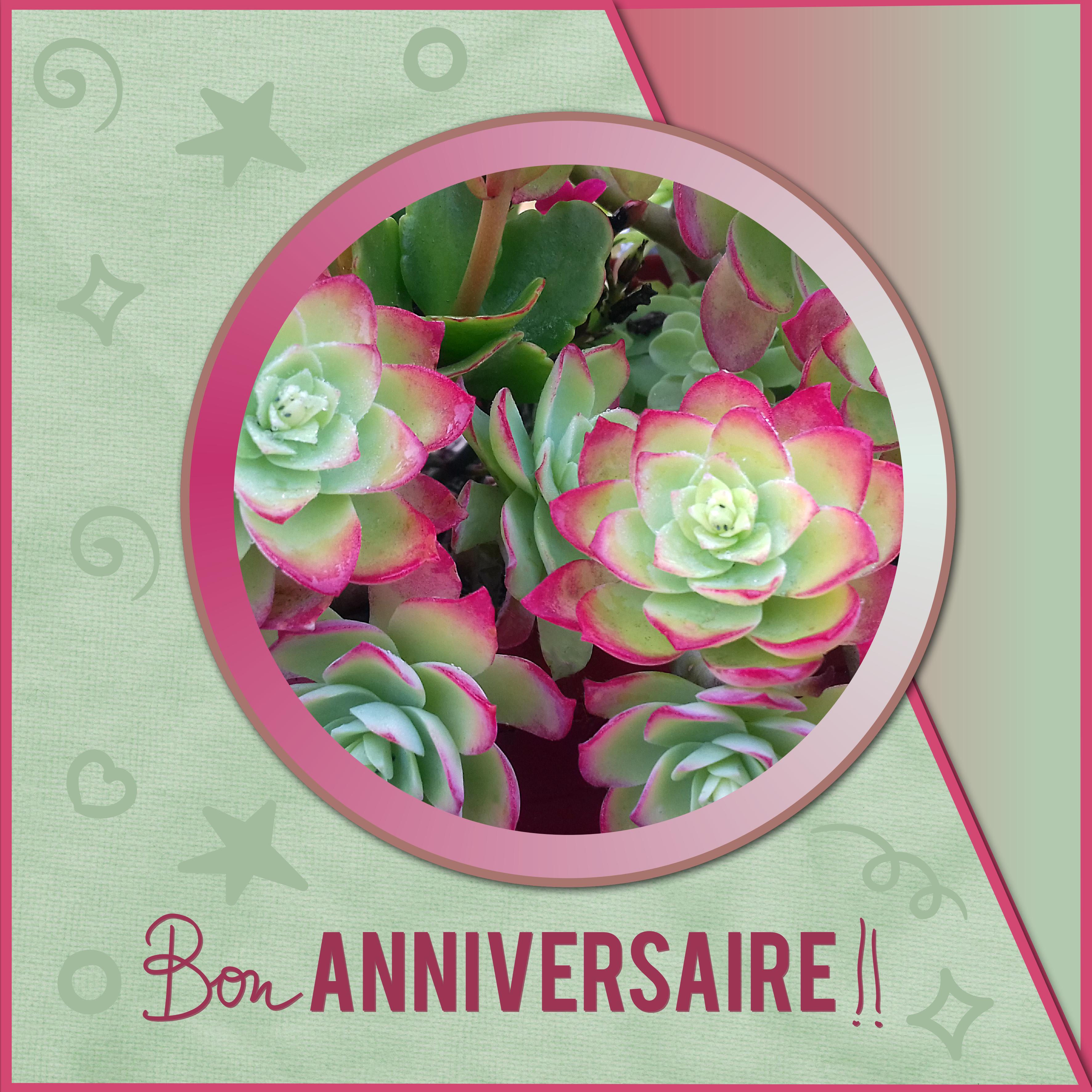 J-a134 - BON ANNIVERSAIRE.jpg
