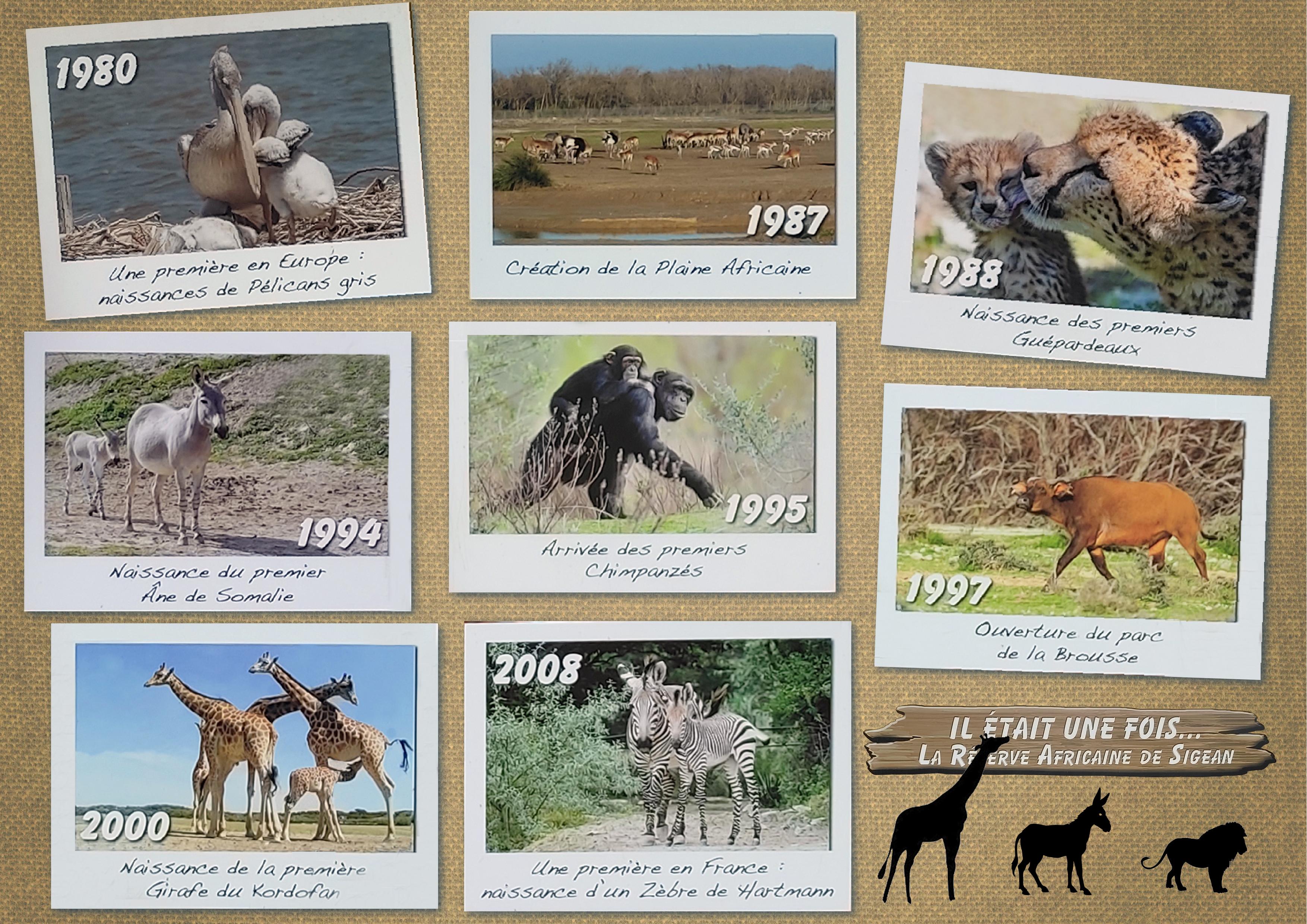 J-A140 - IL ETAIT UNE FOIS.jpg