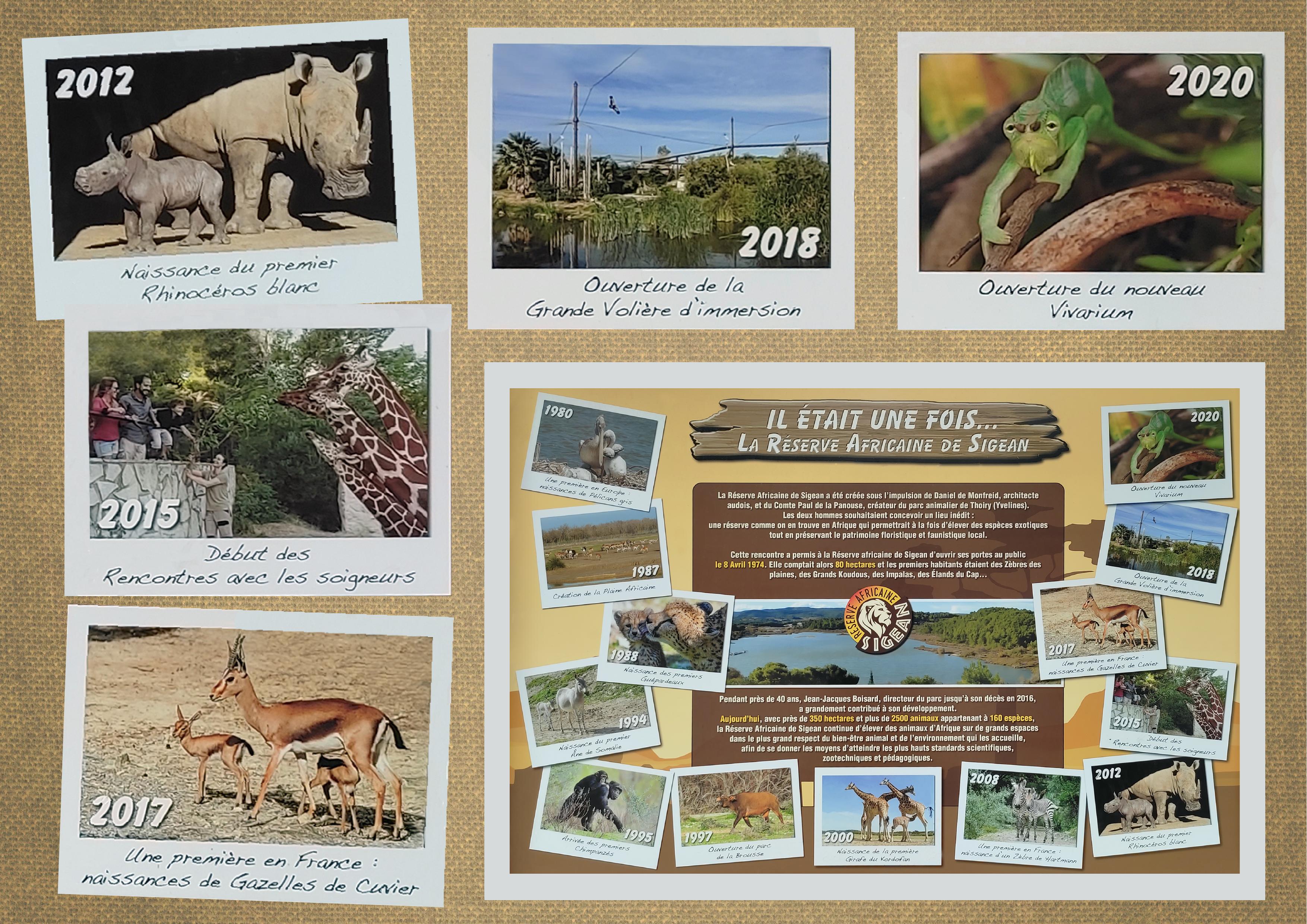 J-A141 - LA RESERVE DE SiGEAN.jpg