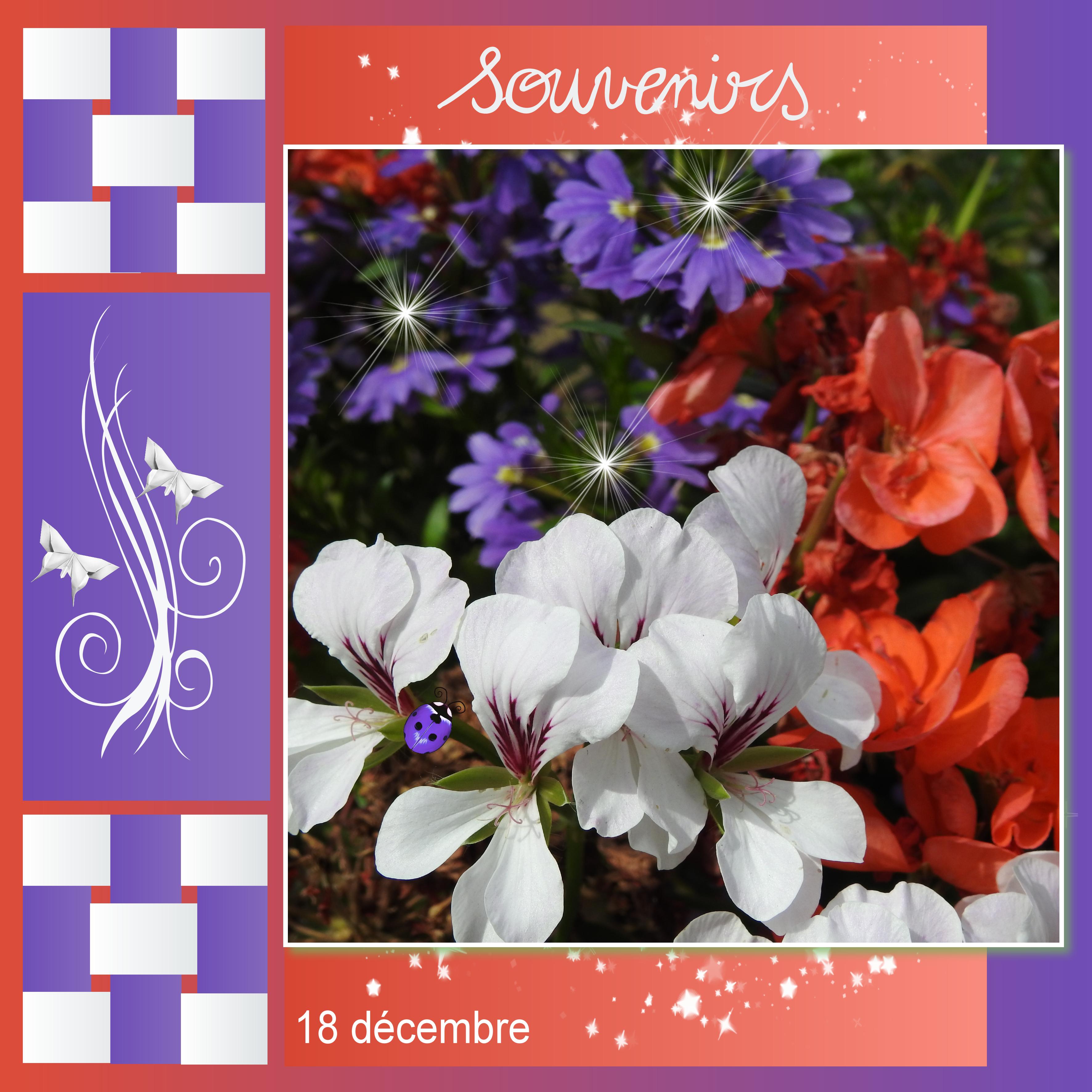 J-a141 - SOUVENIRS.jpg