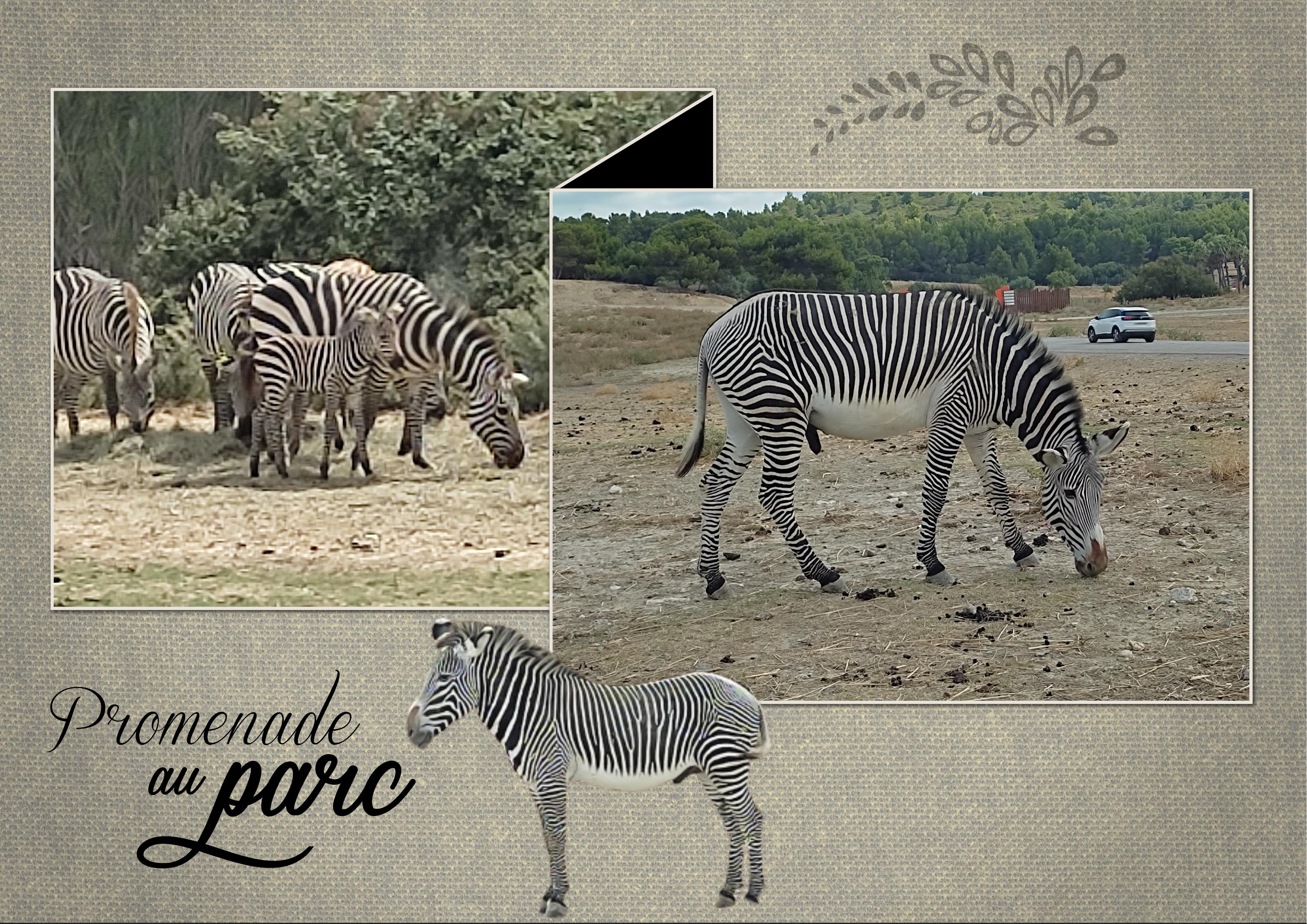 J-A143 -PROMENADE AU PARC.jpg